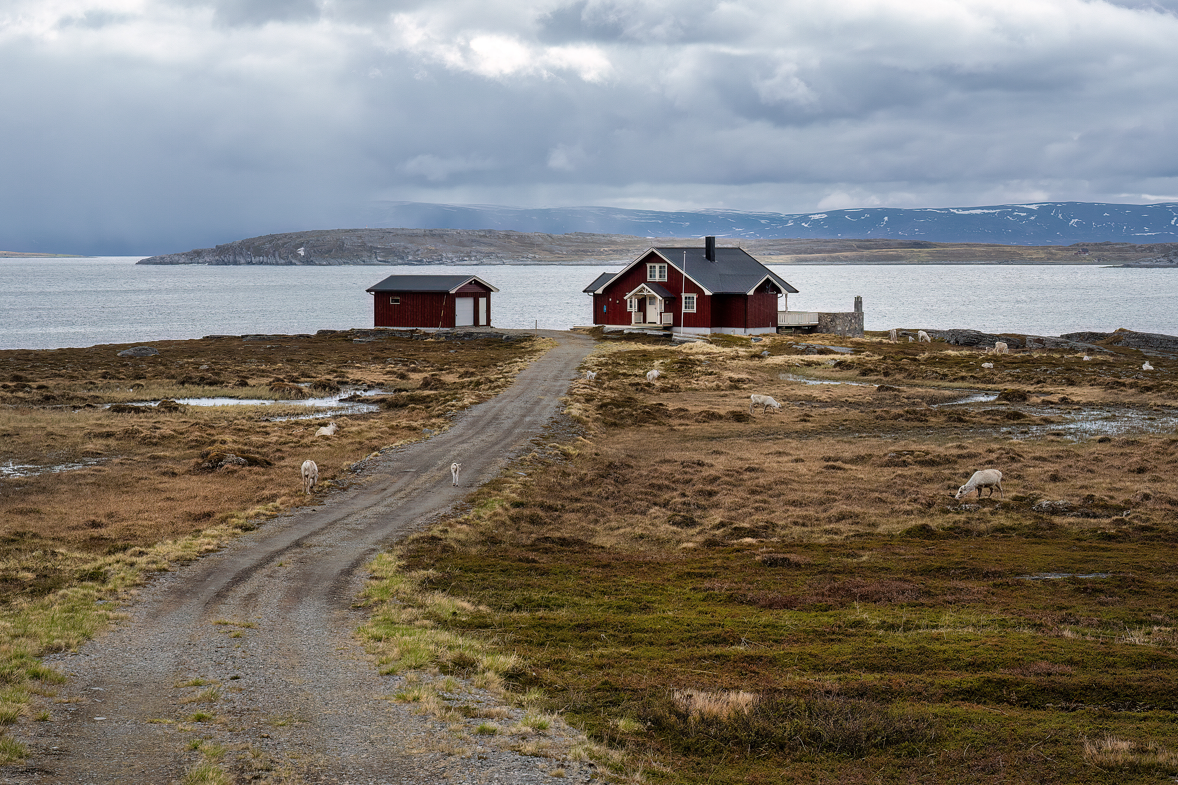 Verso Nordkapp
