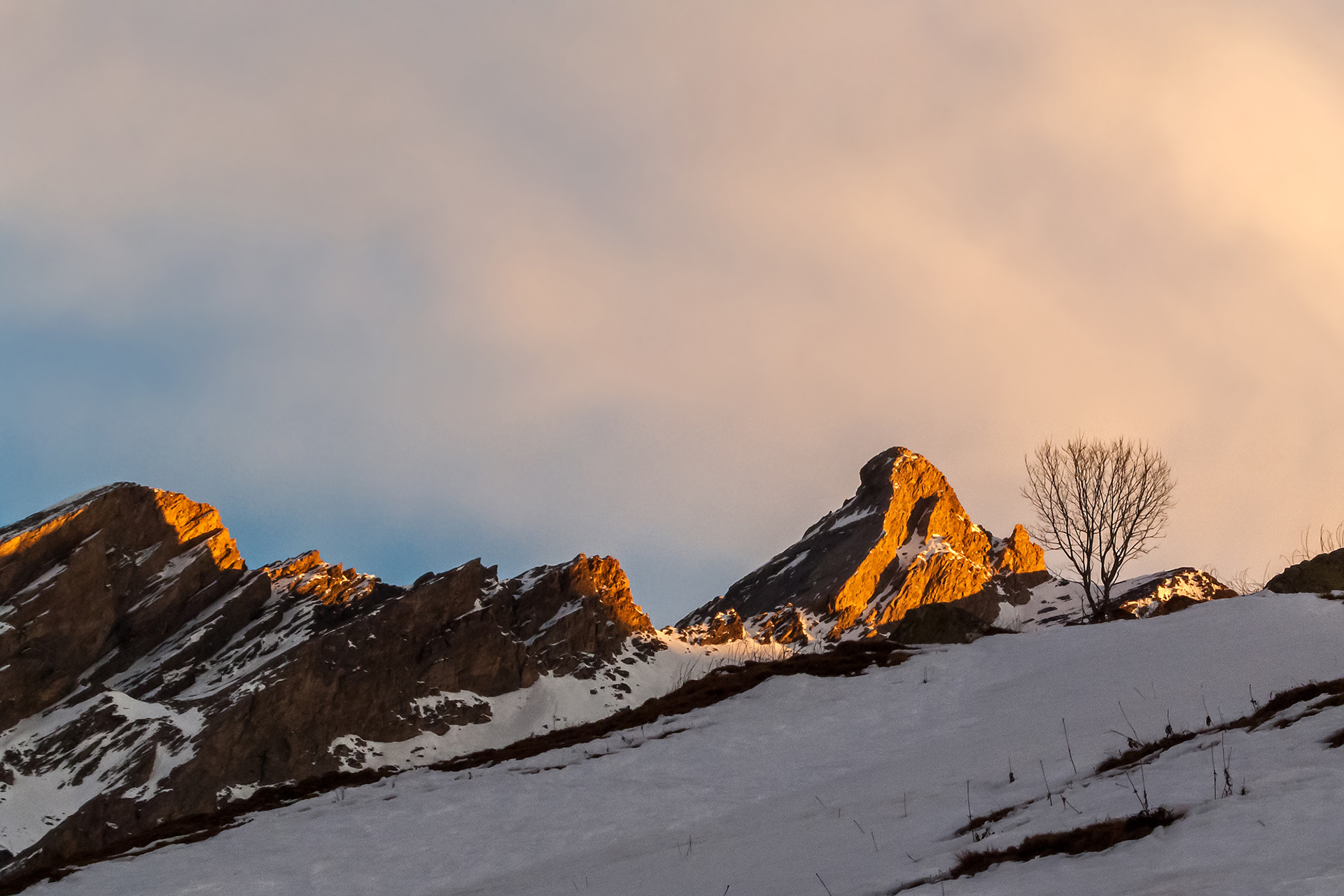 Pic d'Asti