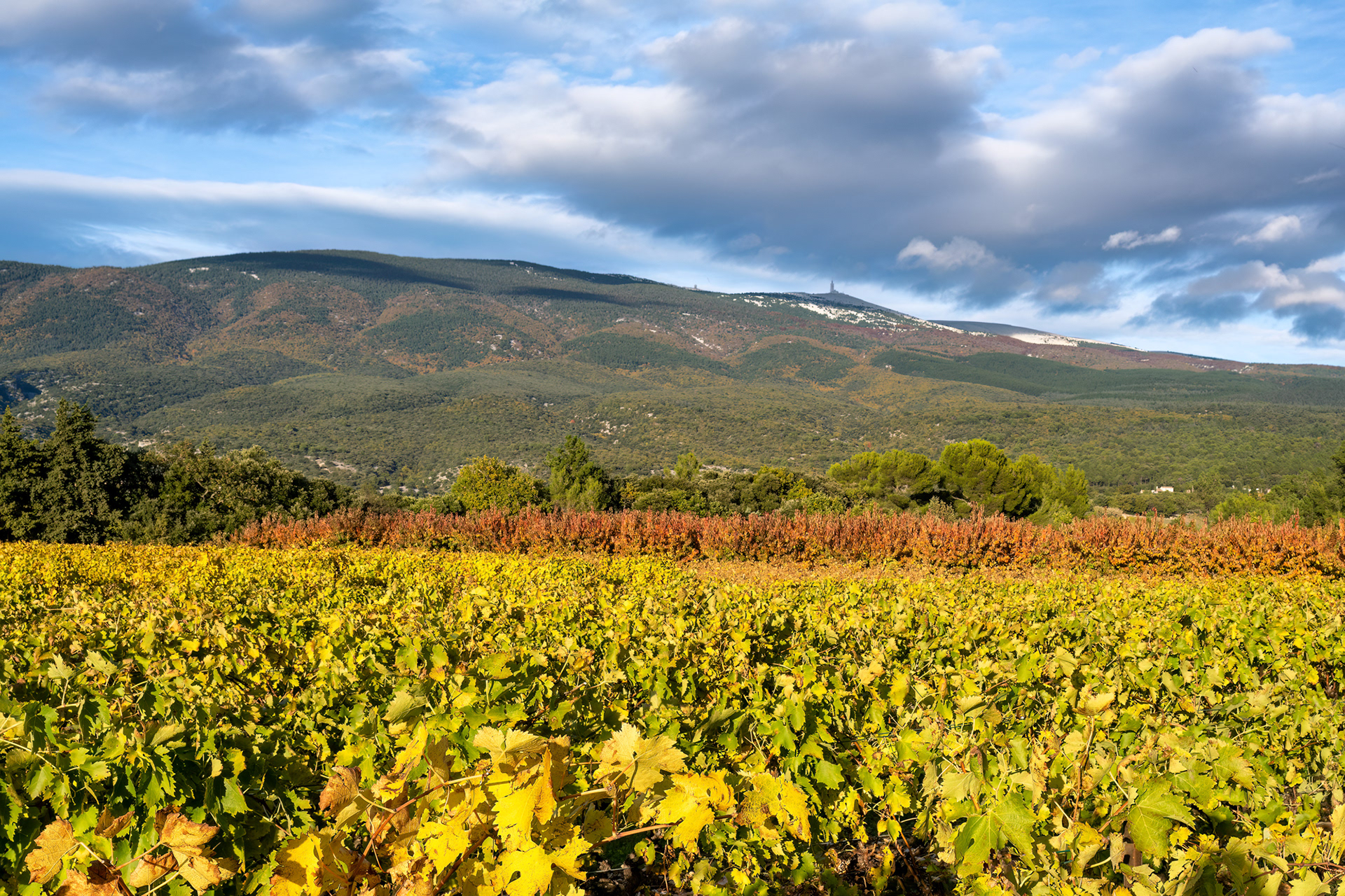 Mont Ventoux