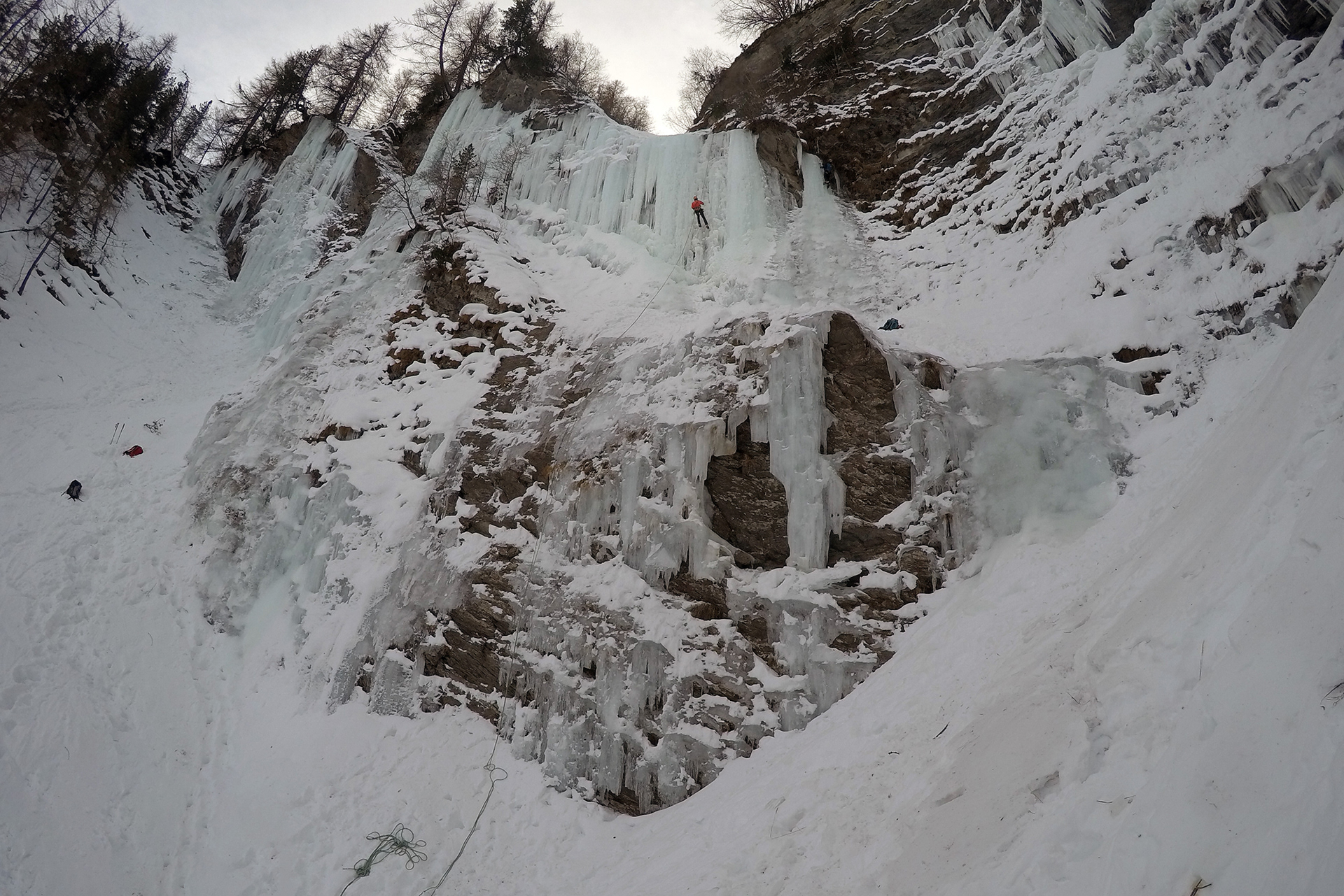 Pineta Nord - Originale