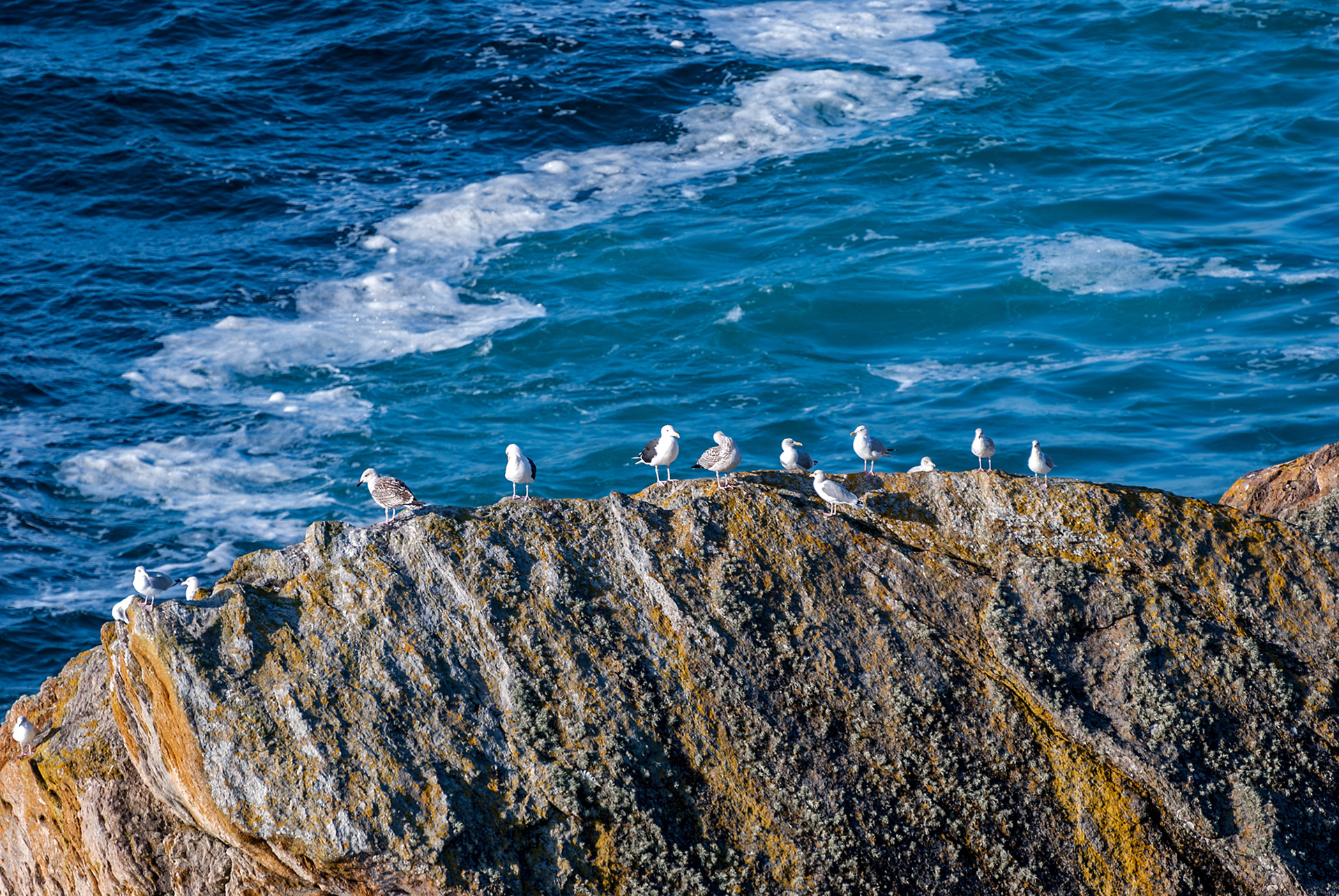 Pointe du Raz