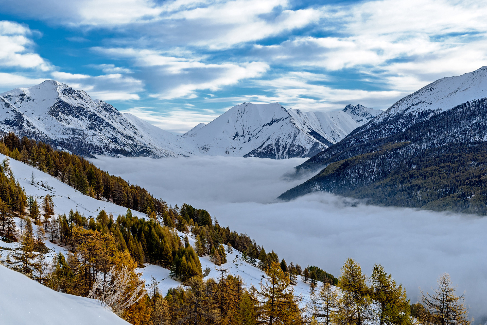Francoise Pelouse, Ciantiplagna