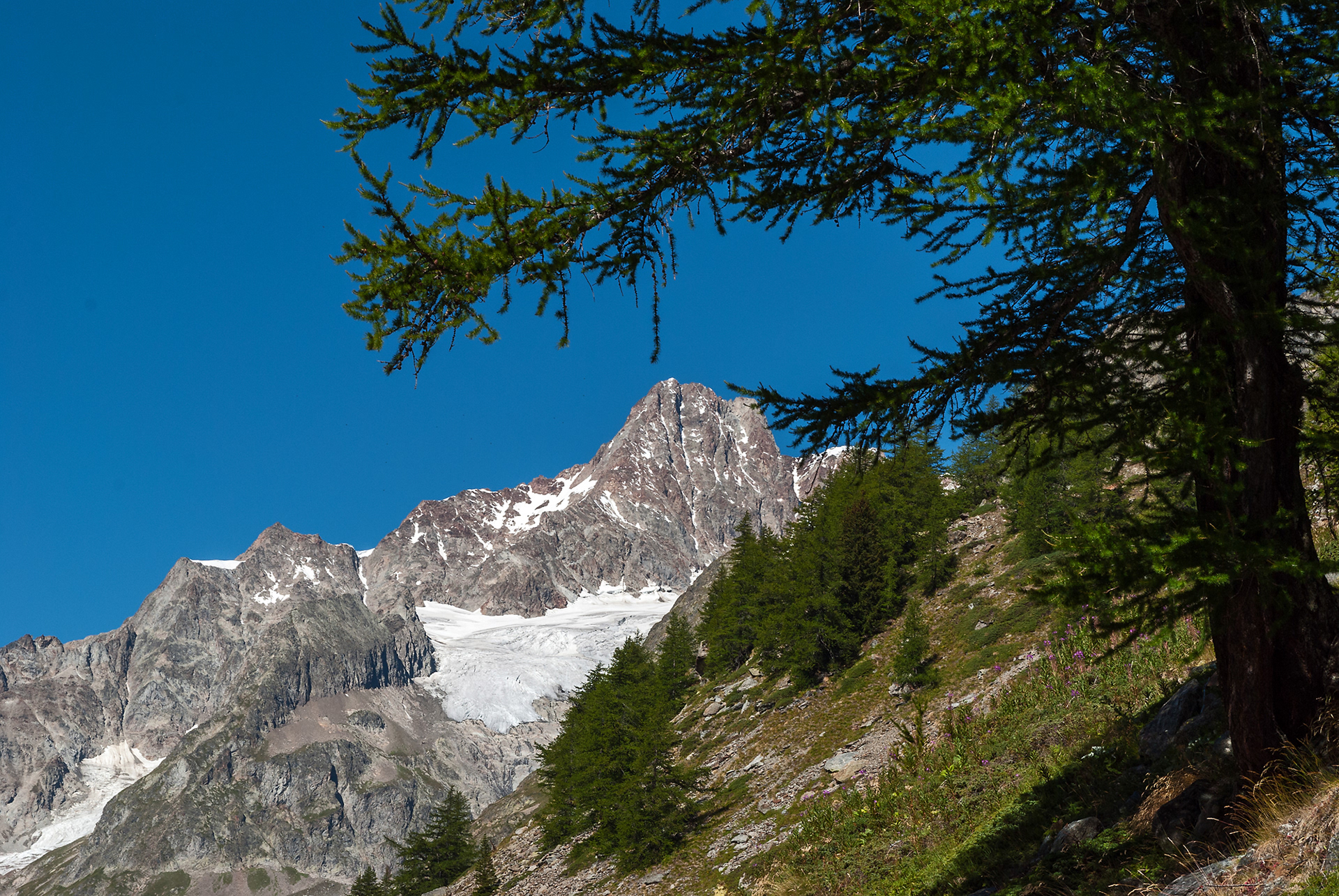 Aiguille des Glaciers