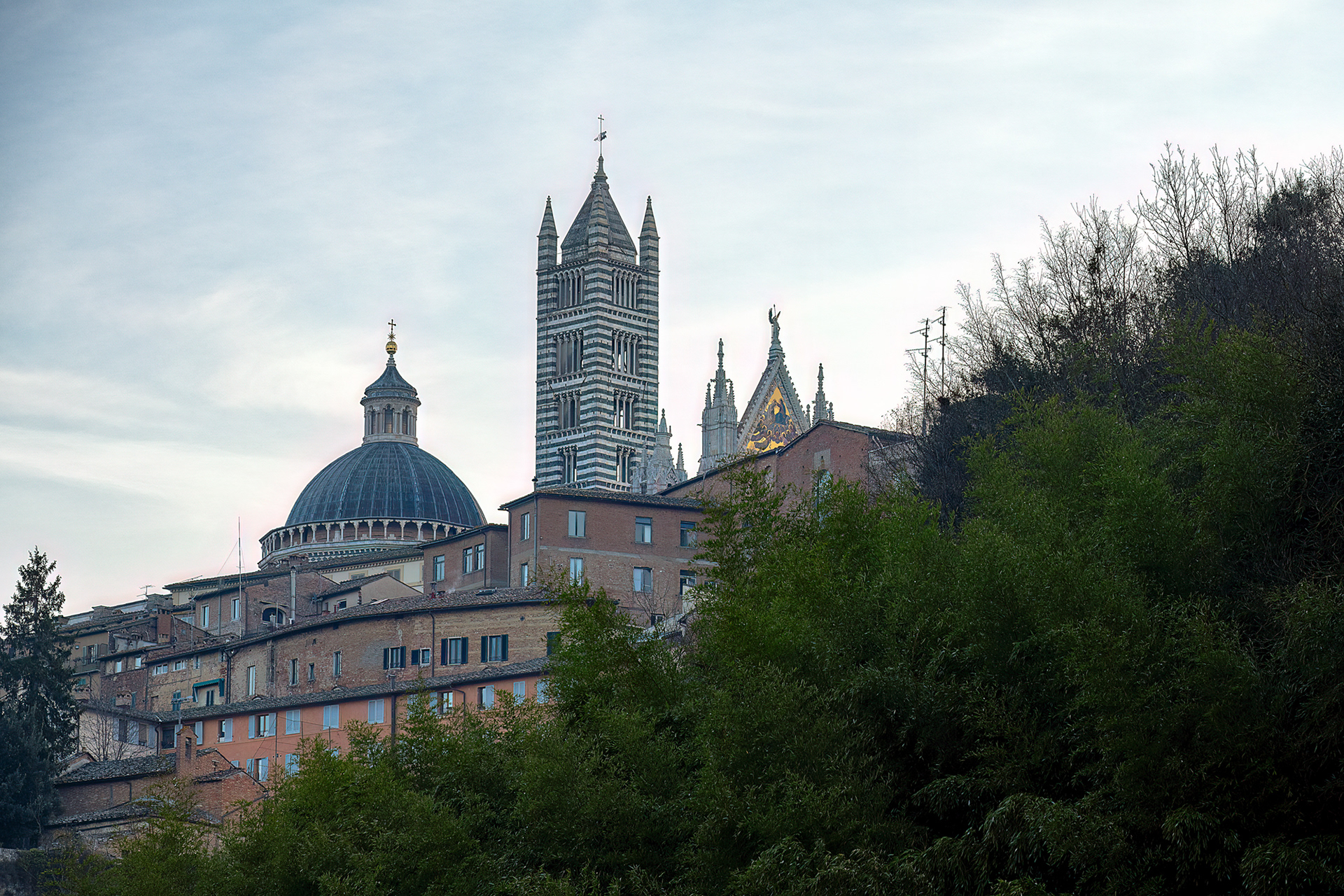 Siena