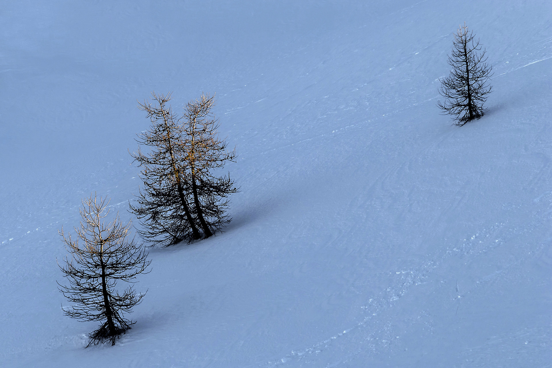 Verso il Bric Boscasso