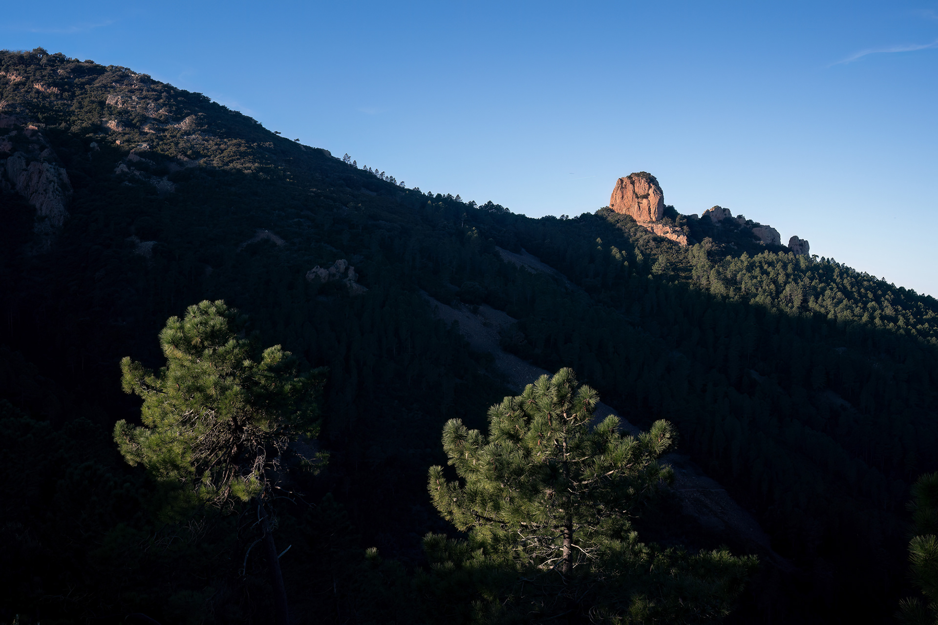 Dent de l'Ours - Esterel