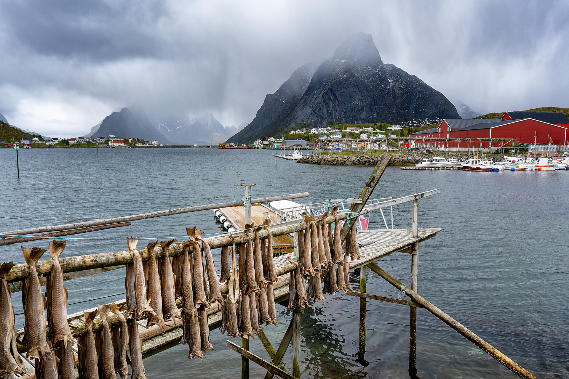 Lofoten - Reine