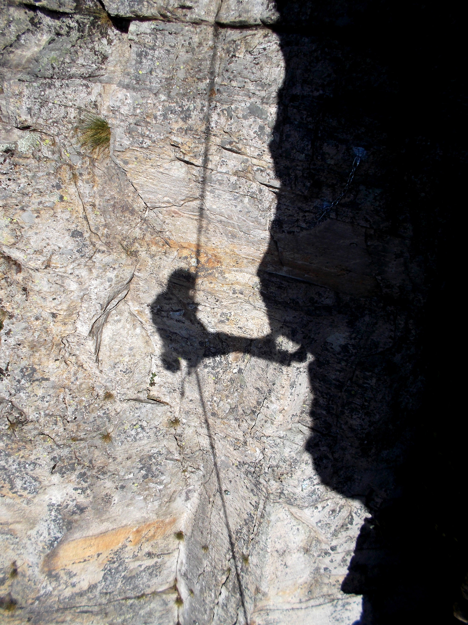 Grandubbione - pungitopo