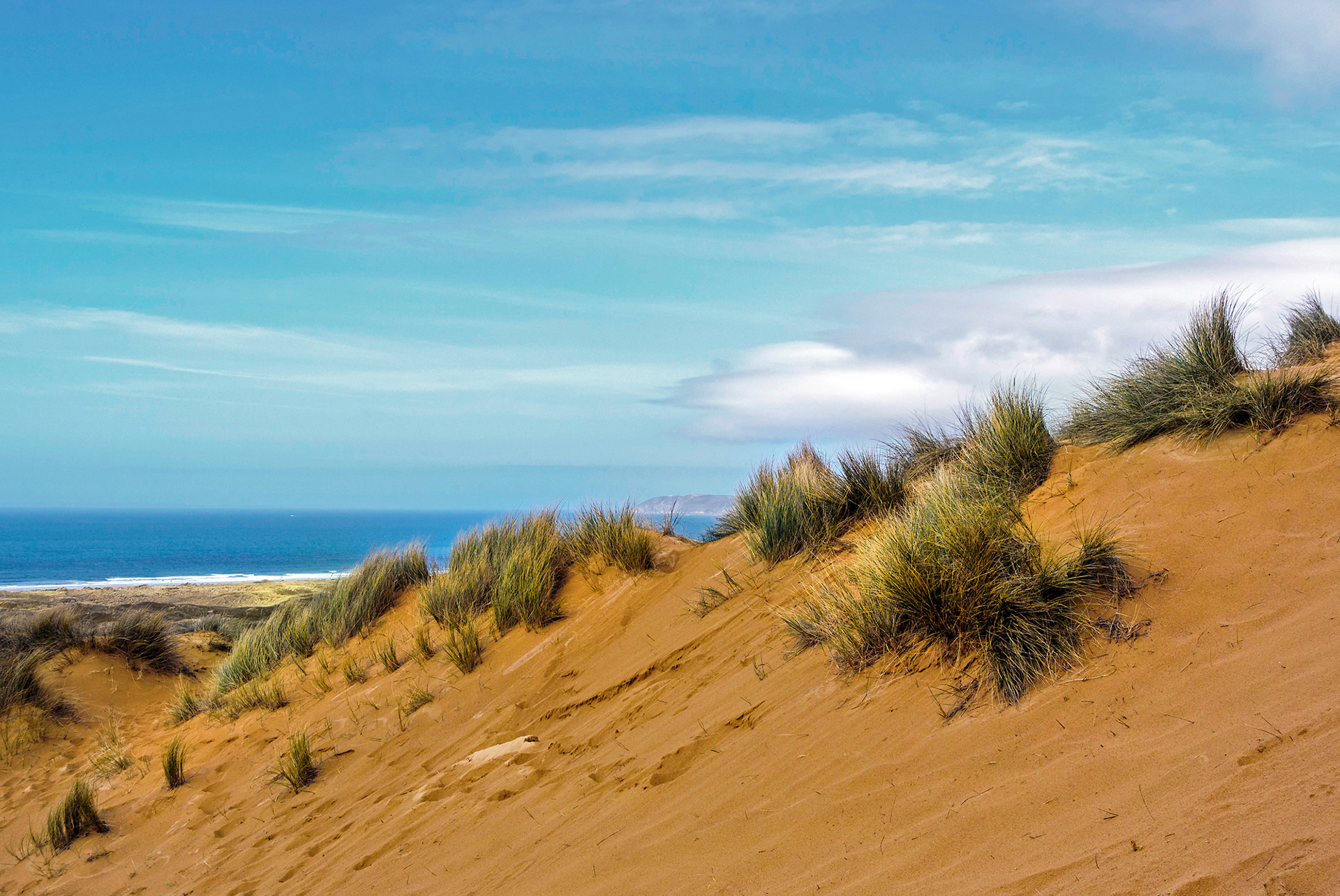 Les Dunes de Biville