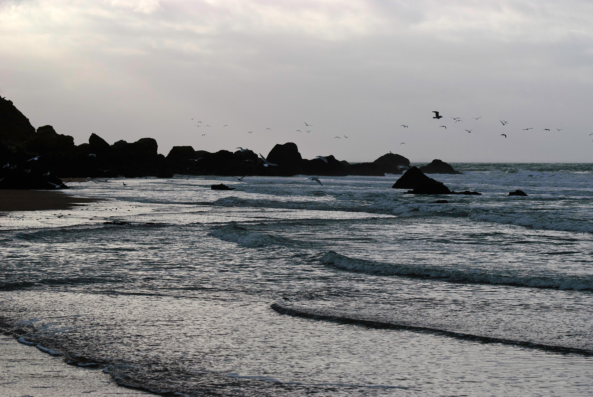 Falaise des Vaches Noires
