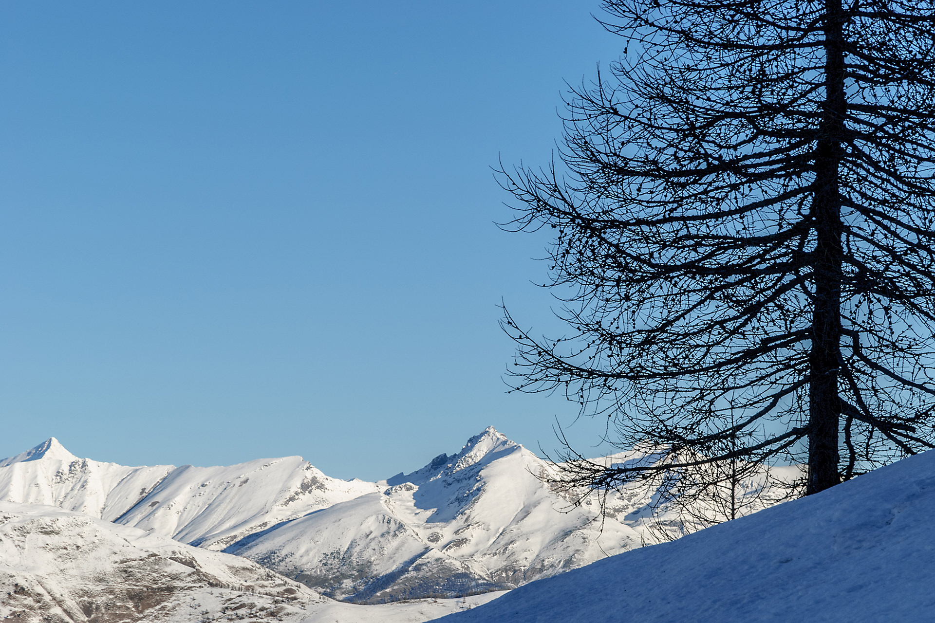 Rocciamelone, Orsiera