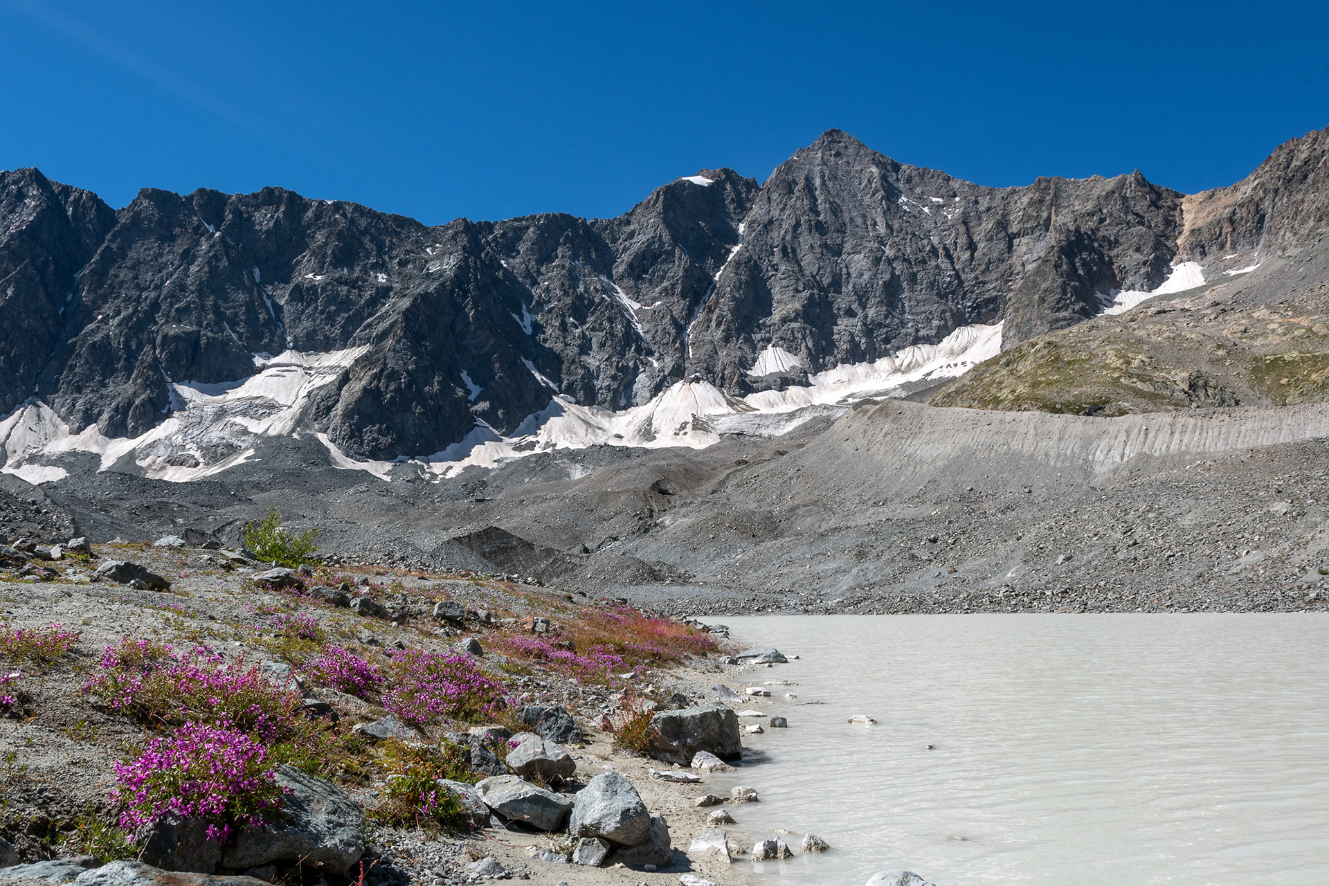Pic de Neige Cordier, Pic du Glacier Blanc