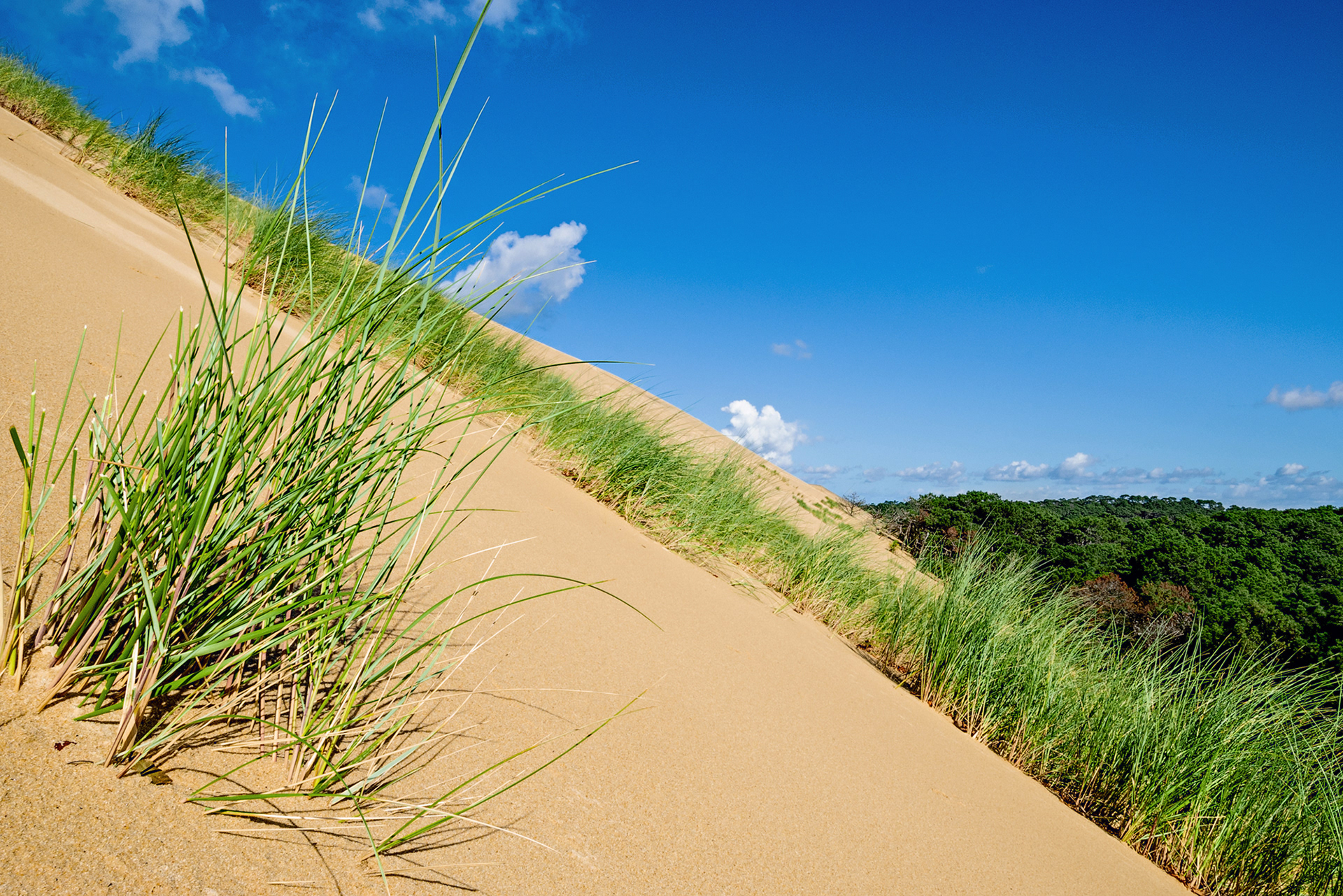 Dune du Pilat