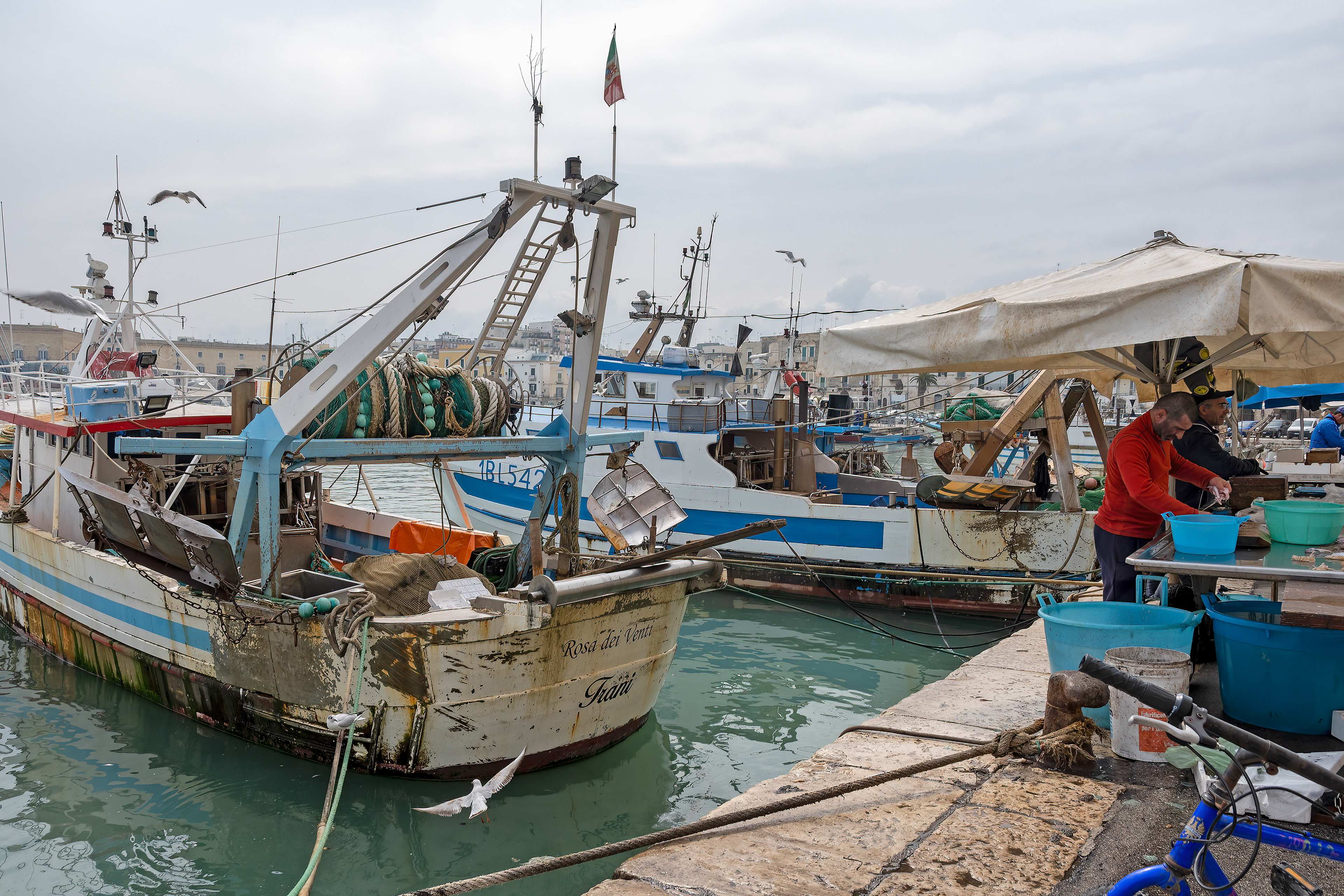 Trani