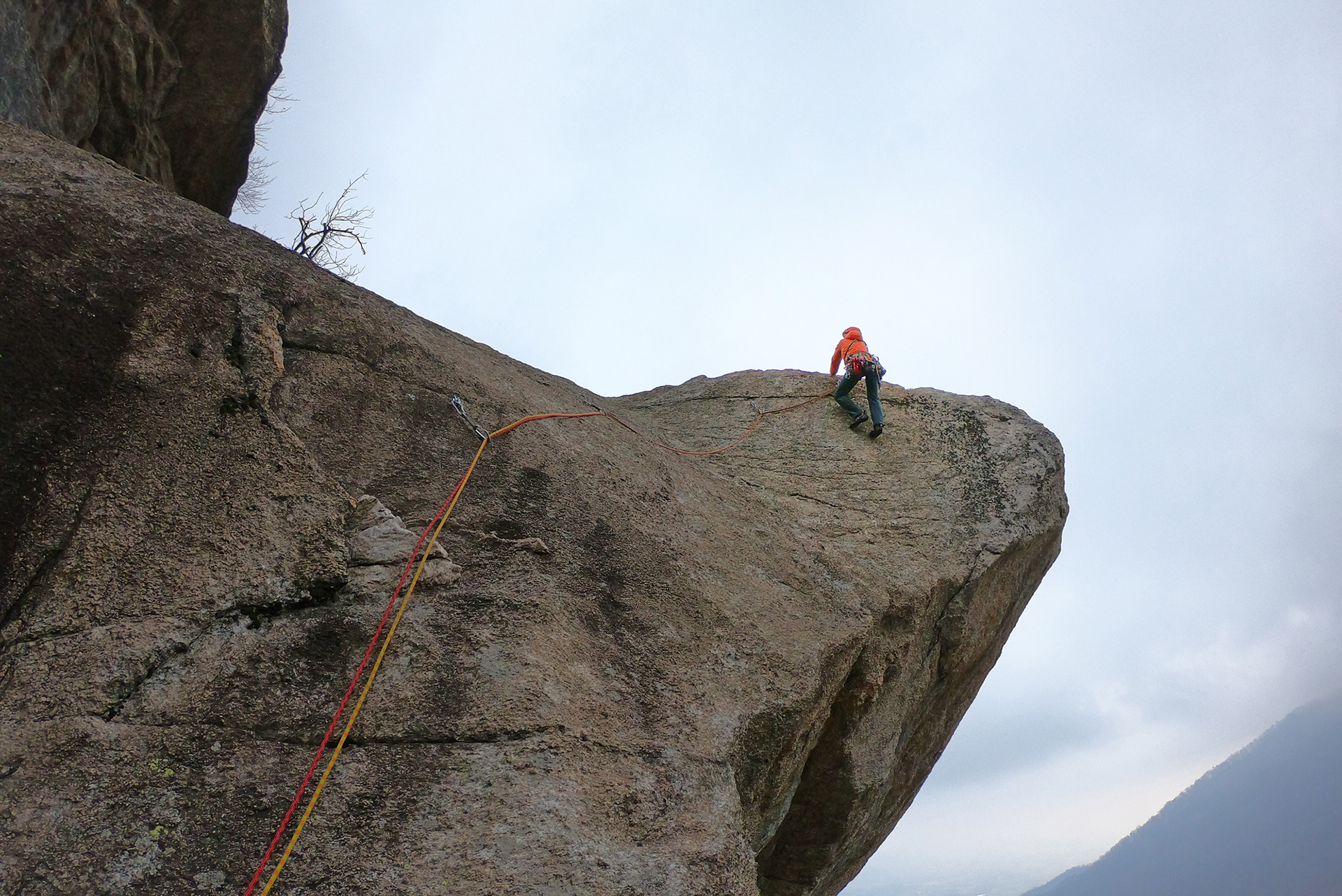 Roch 'd la Marca - The Truman Show