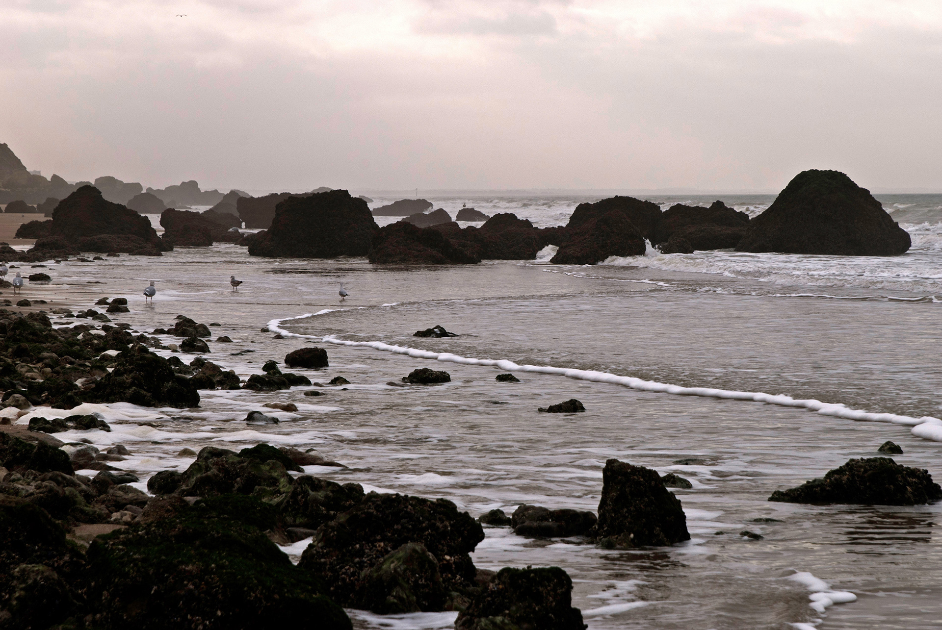 Falaises des Vaches Noires