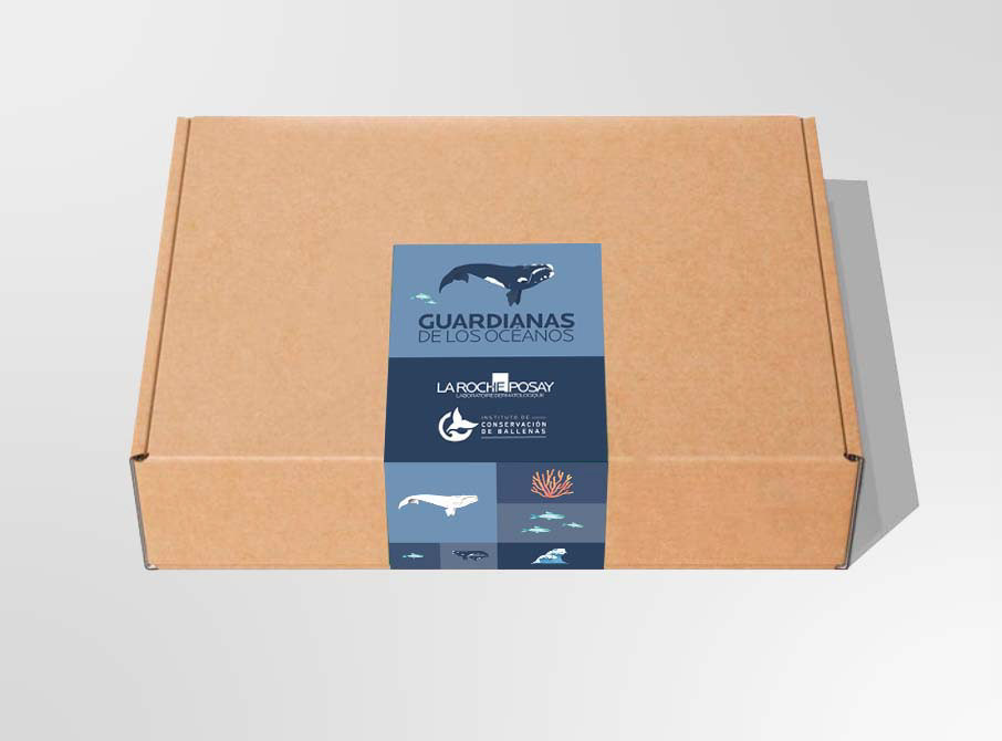 Cajas presskits reutilizables