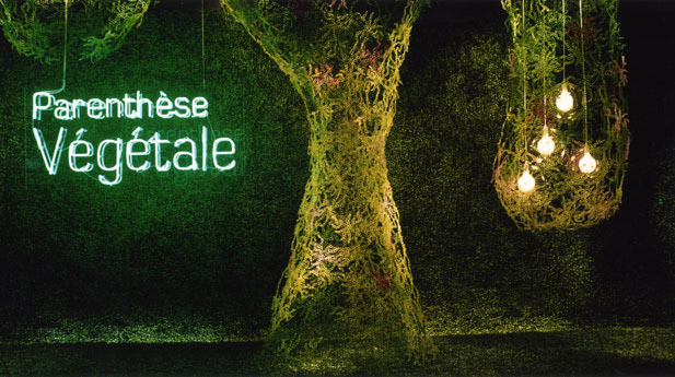 2005, Printemps Haussmann windows