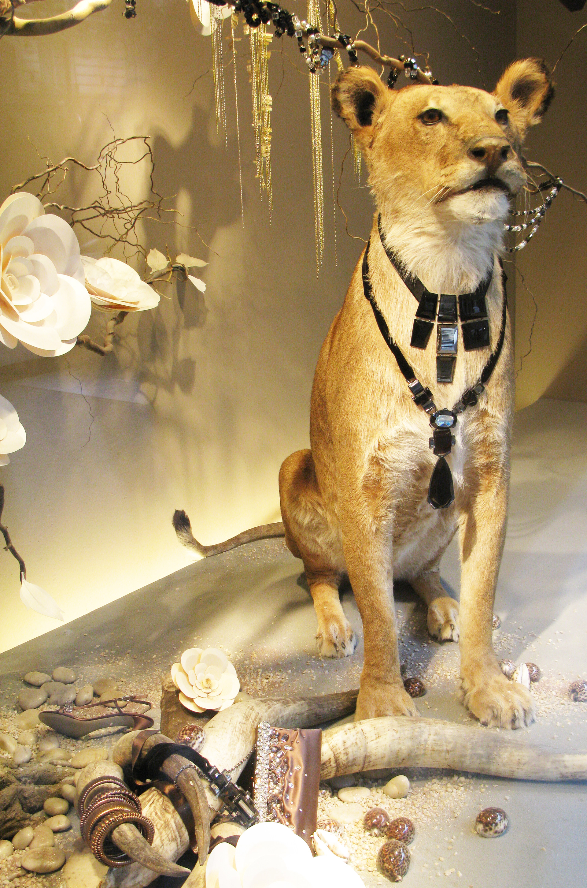 2009, Printemps Haussmann windows