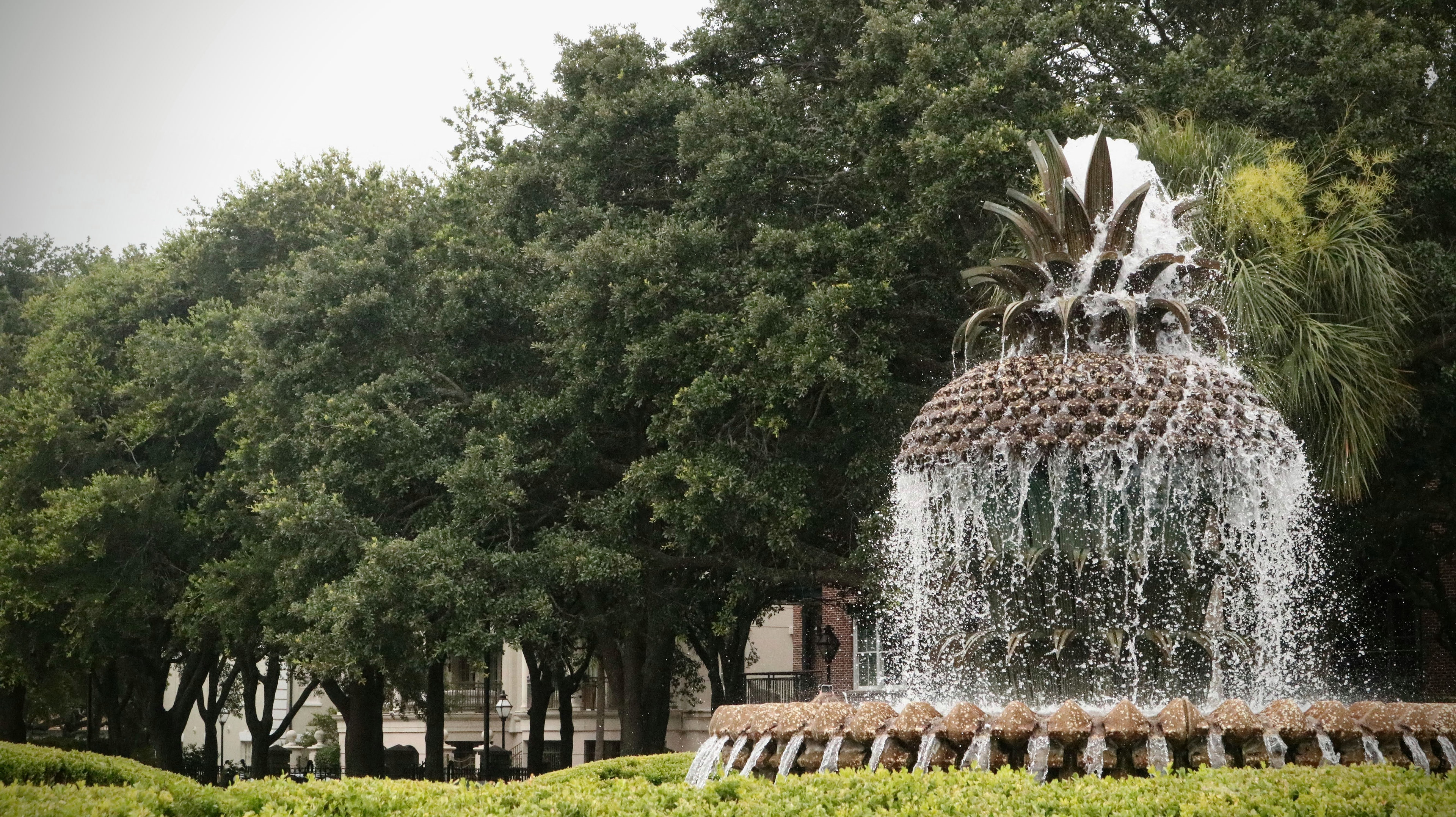 Pineapple Fountain in Charleston