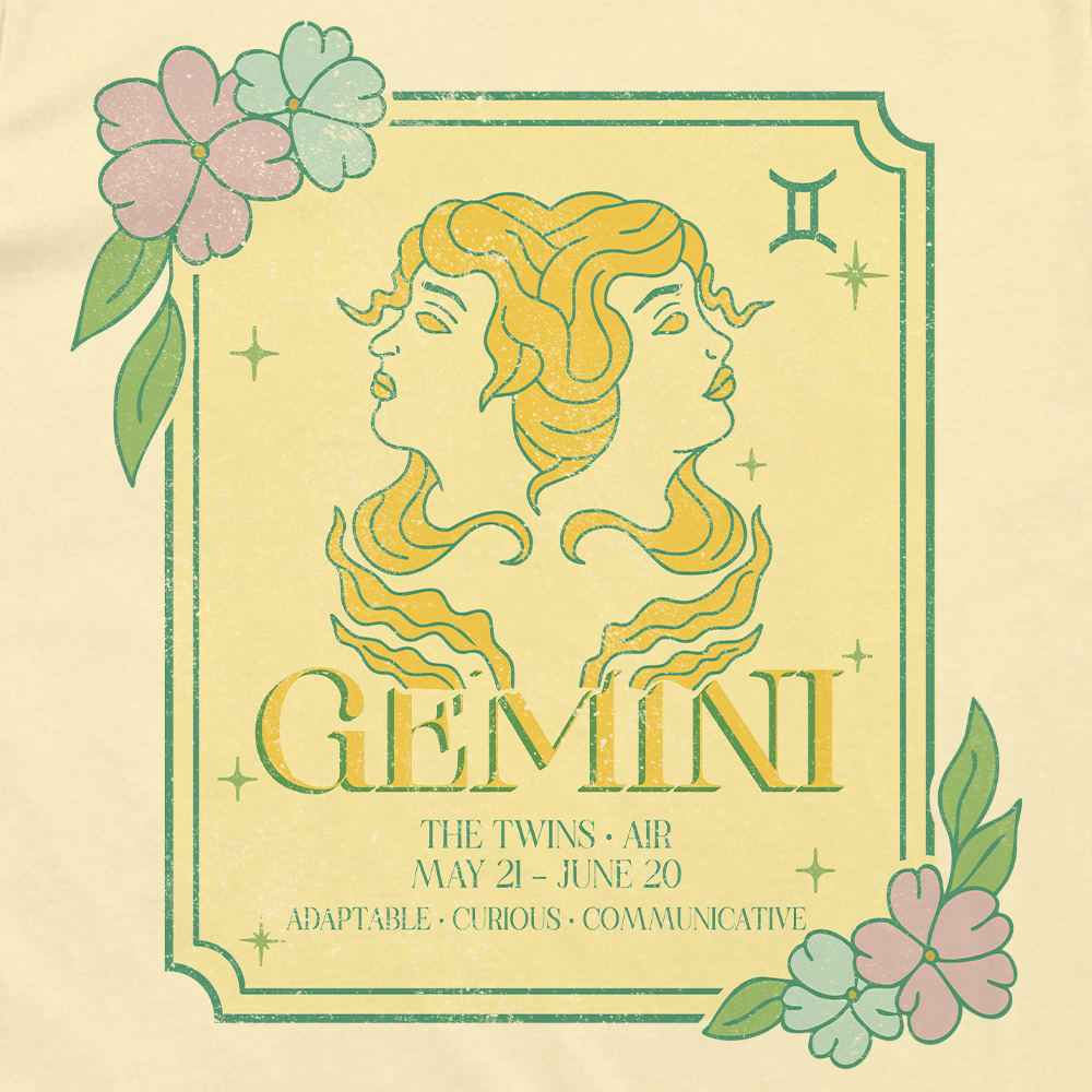 Gemini The Twins