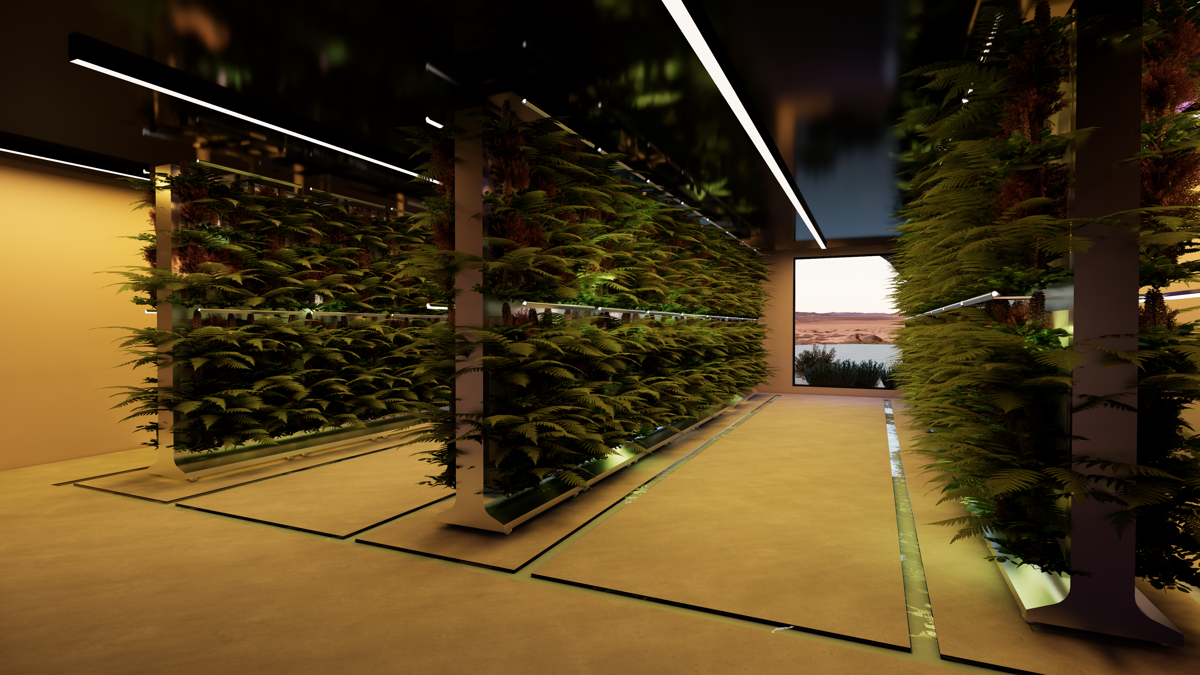 HYDROPONIC GARDEN