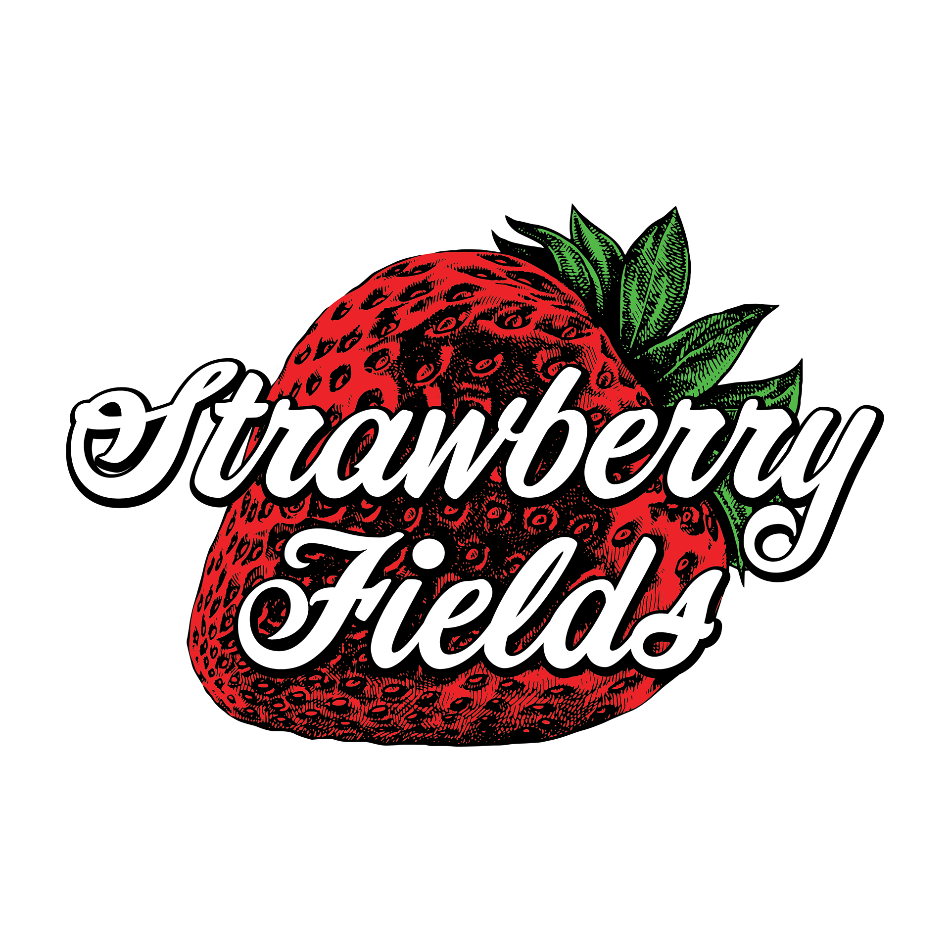 The primary park logo I designed