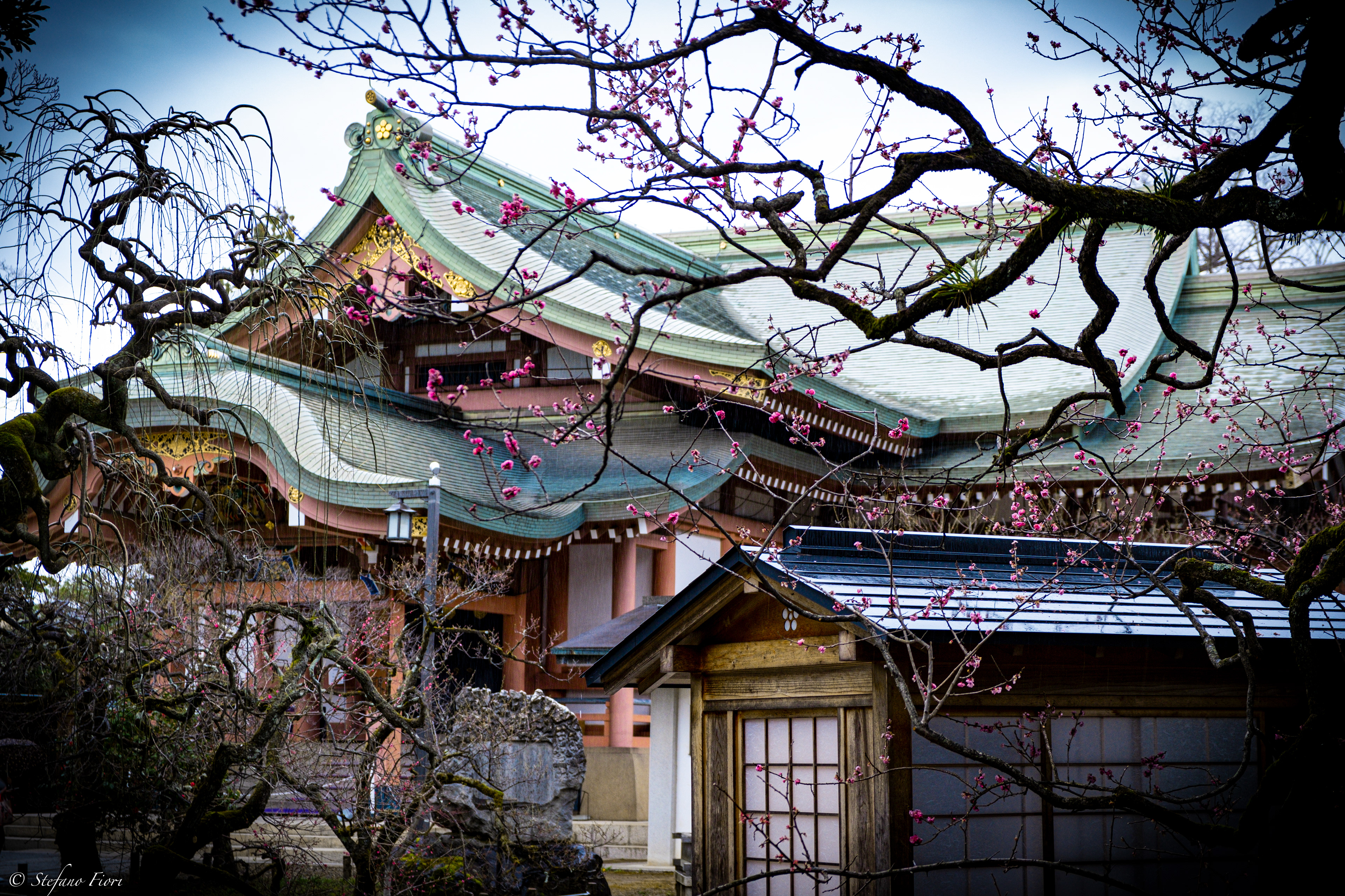 Kyoto