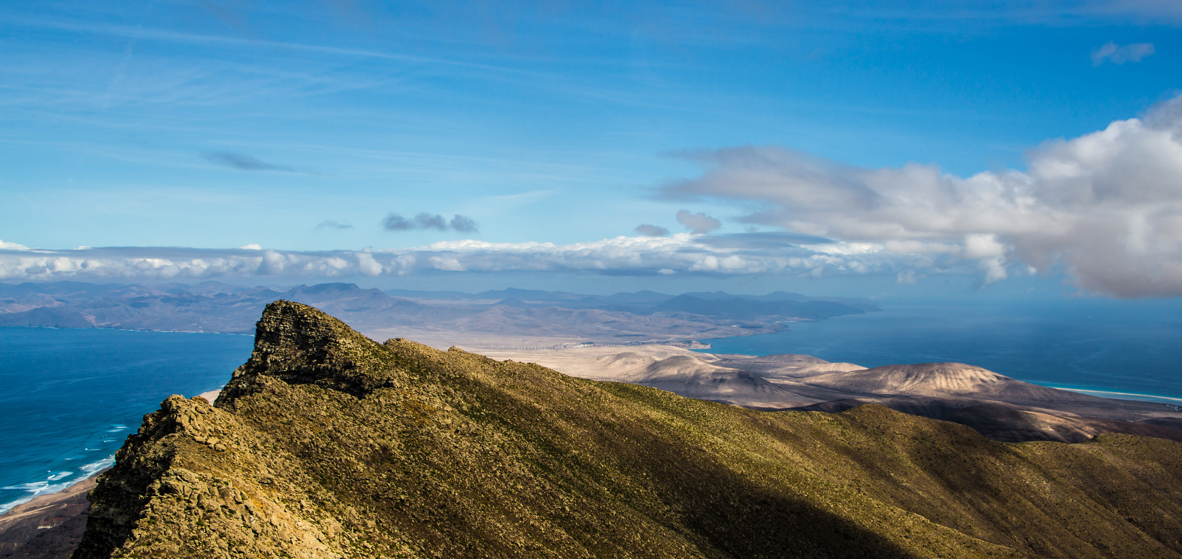 pic de zarza, oreille de l'âne, randonnée, parc naturel de jandia, biodiversité, fuerteventura, randonnée