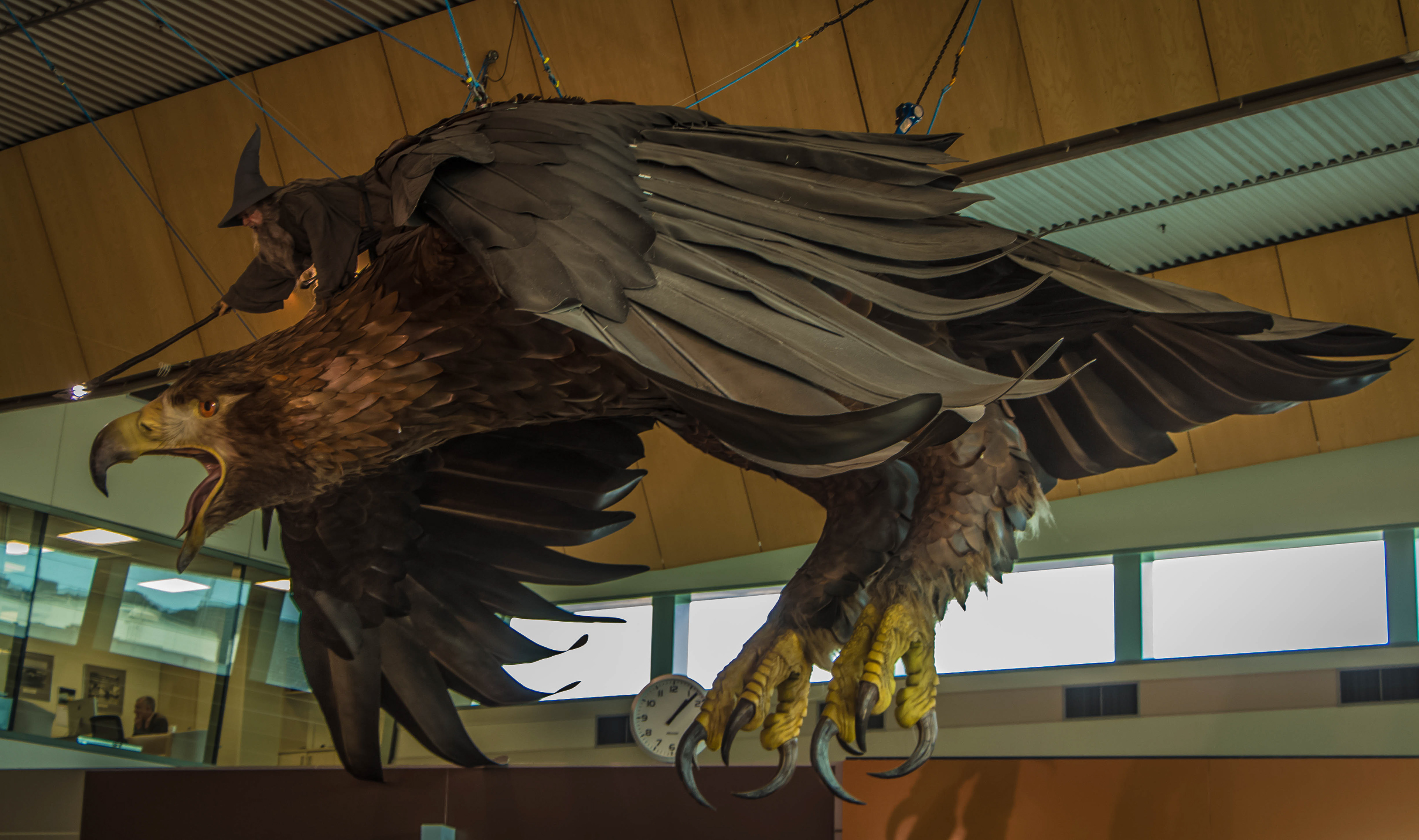 aéroport, nouvelle-zélande, wellington, lord of the rings, gandalf, aigle