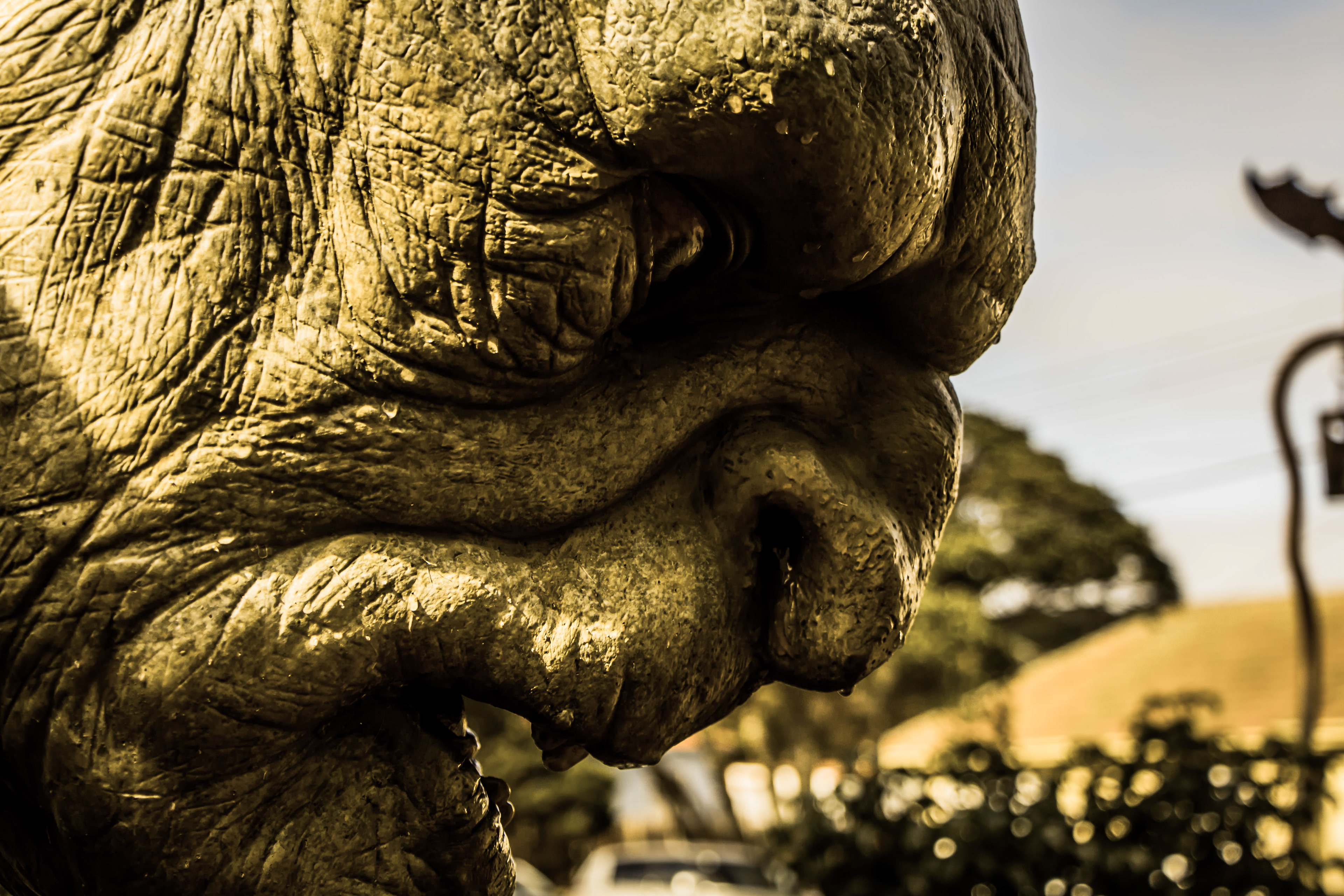 musée et atelier, weta cave, nouvelle-zélande, wellington, lord of the rings