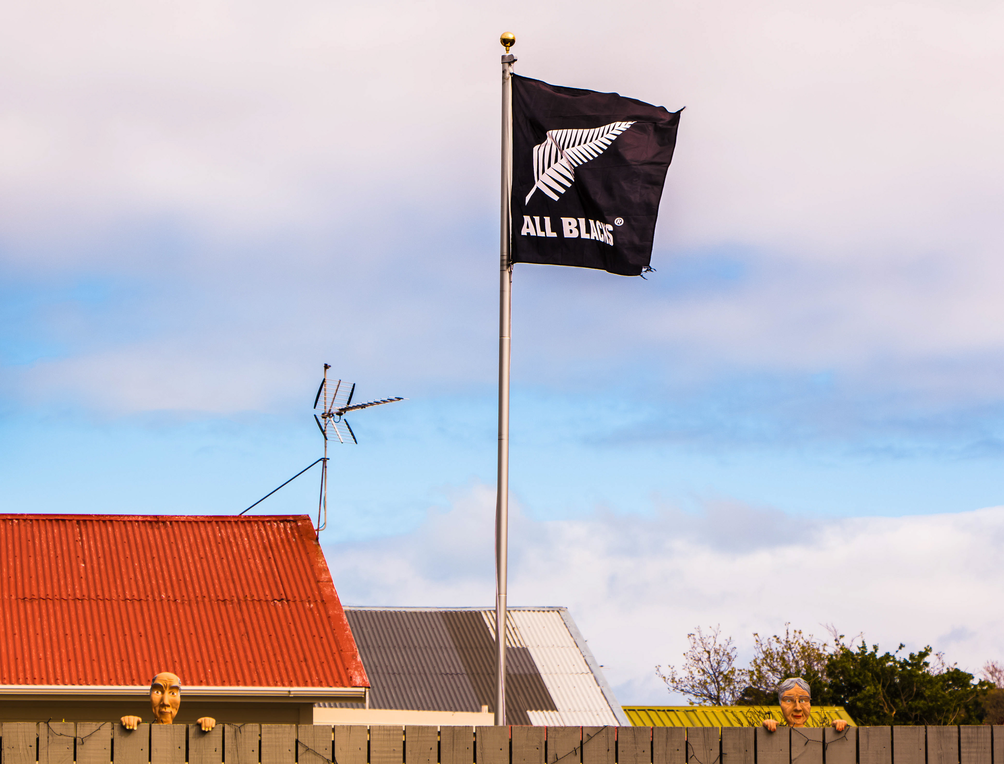 Wellington, Nouvelle-zélande, all blacks, drapeau, maison