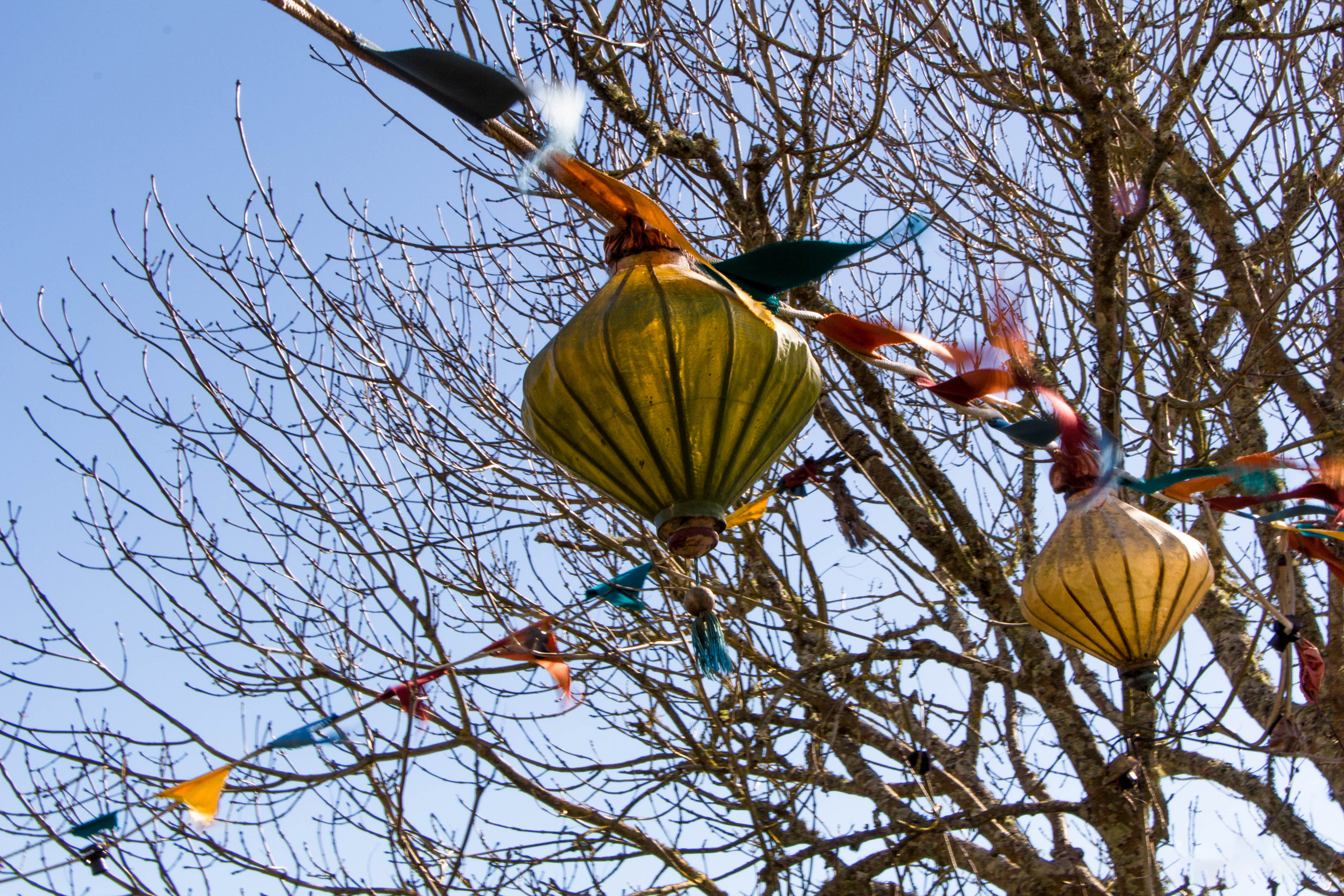 nouvelle-zelande, matamata, seigneur des anneaux, hobbit, lieu de tournage, comté