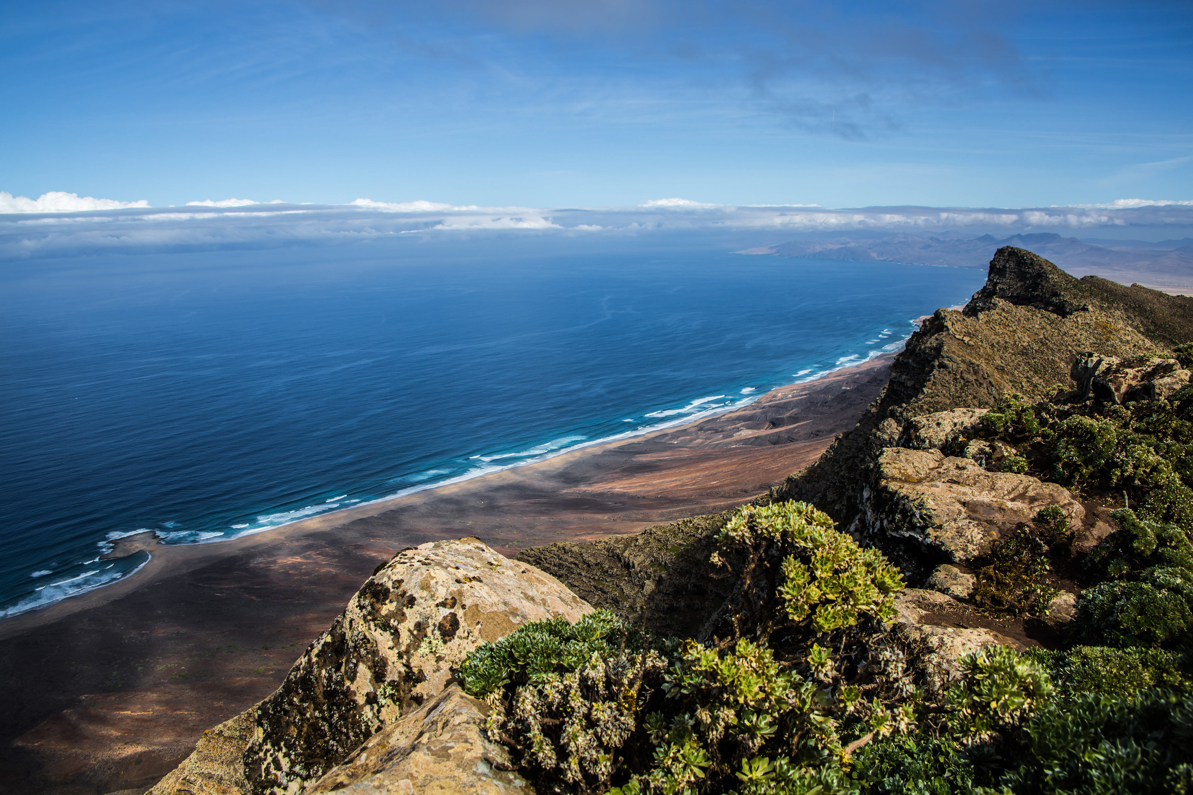 pic de zarza, oreille de l'âne, randonnée, parc naturel de jandia, biodiversité, fuerteventura, randonnée