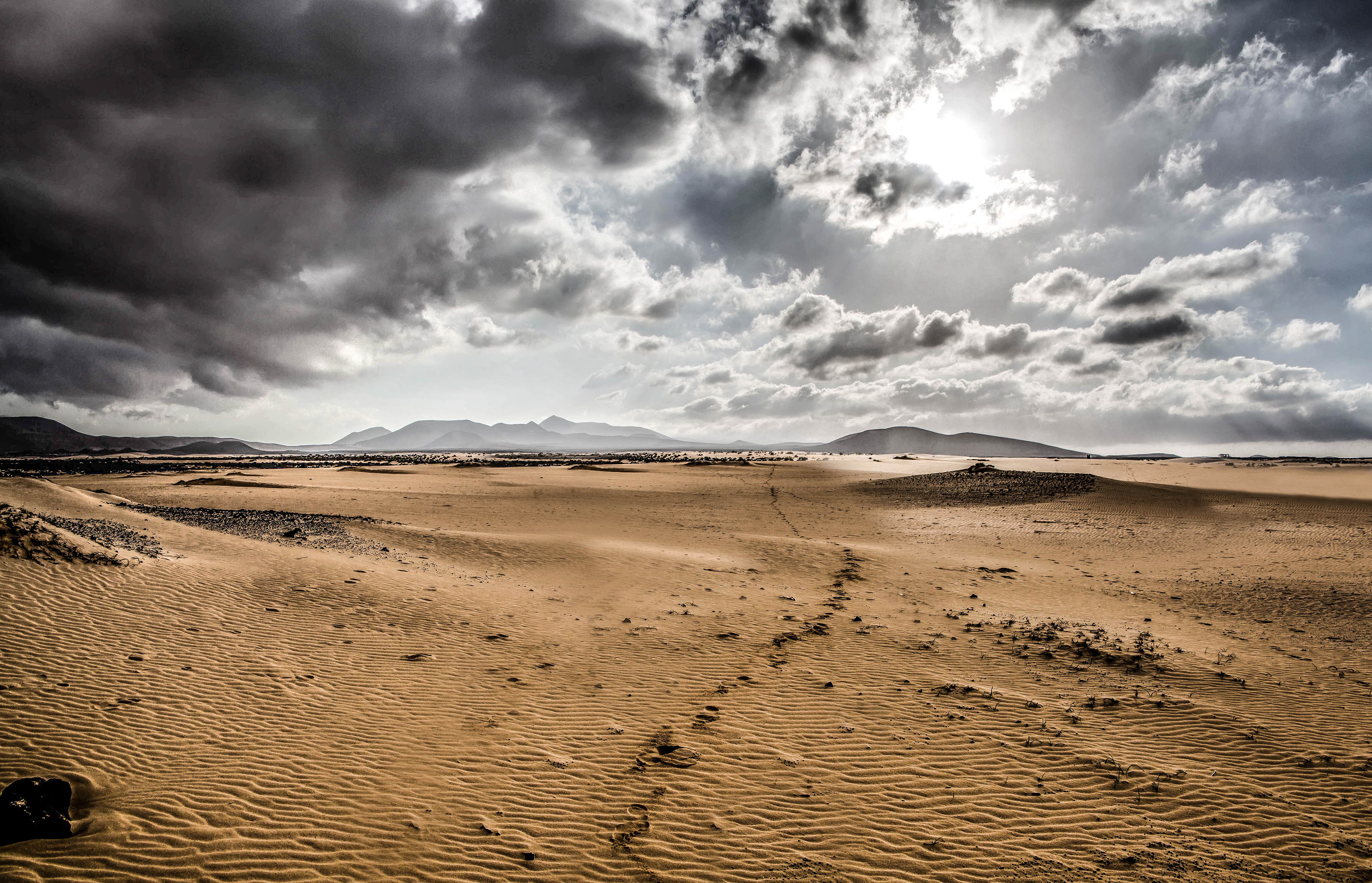 Parque natural de Corralejo, dunes organiques, fuerteventura, canaries
