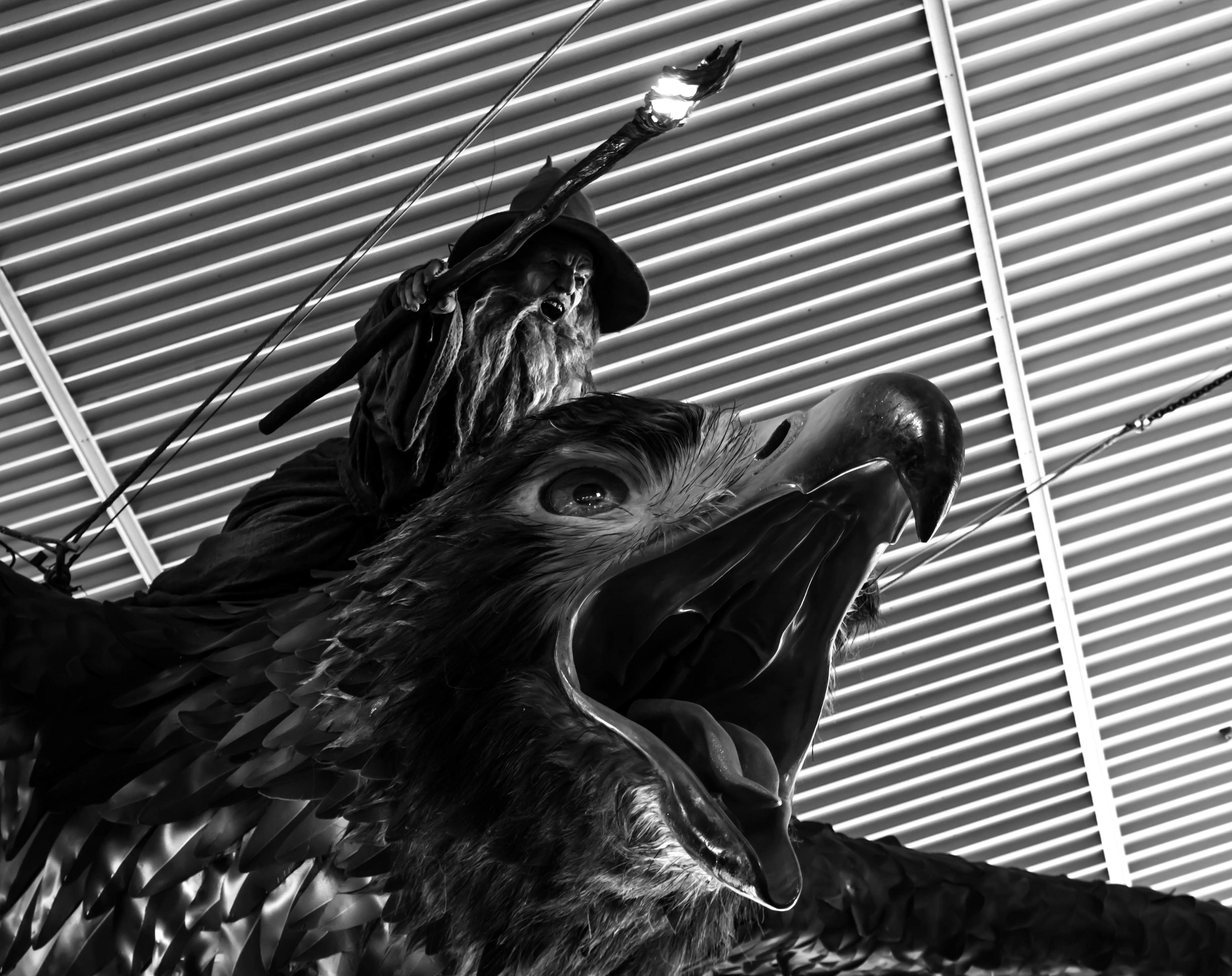 aéroport, nouvelle-zélande, wellington, lord of the rings, gandalf, aigle