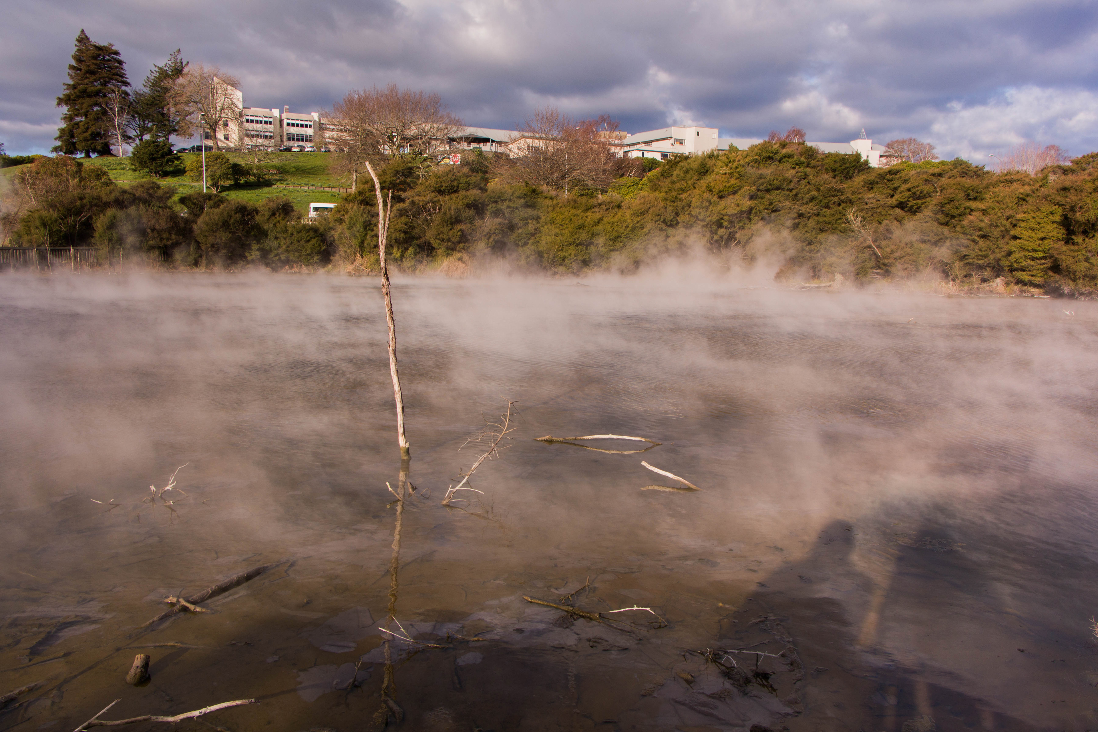 Kuirau park, rotorua, nouvelle zélande, activité géothermique