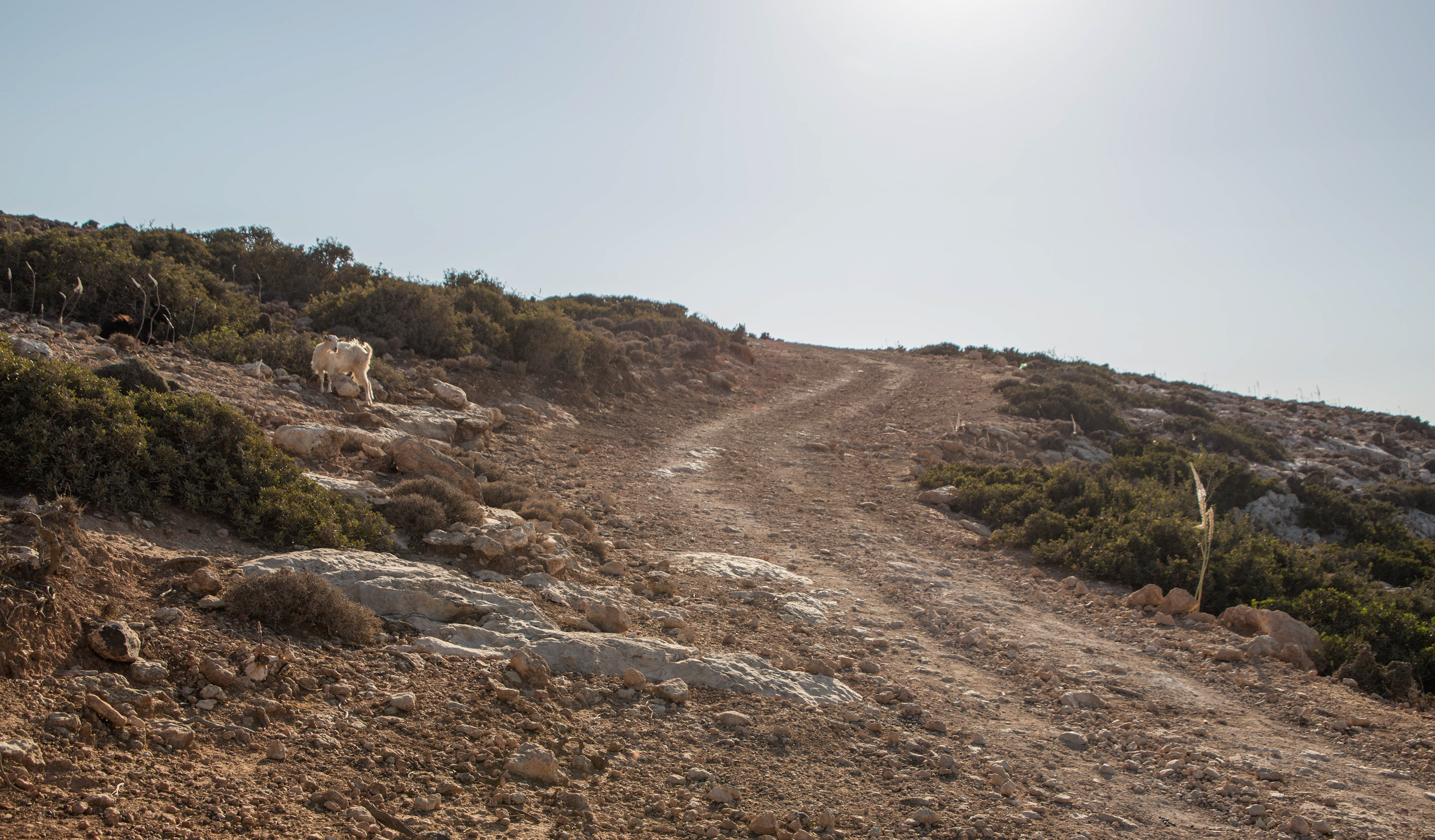 sentier vers Red Beach, Matala, randonnée, kri-kri