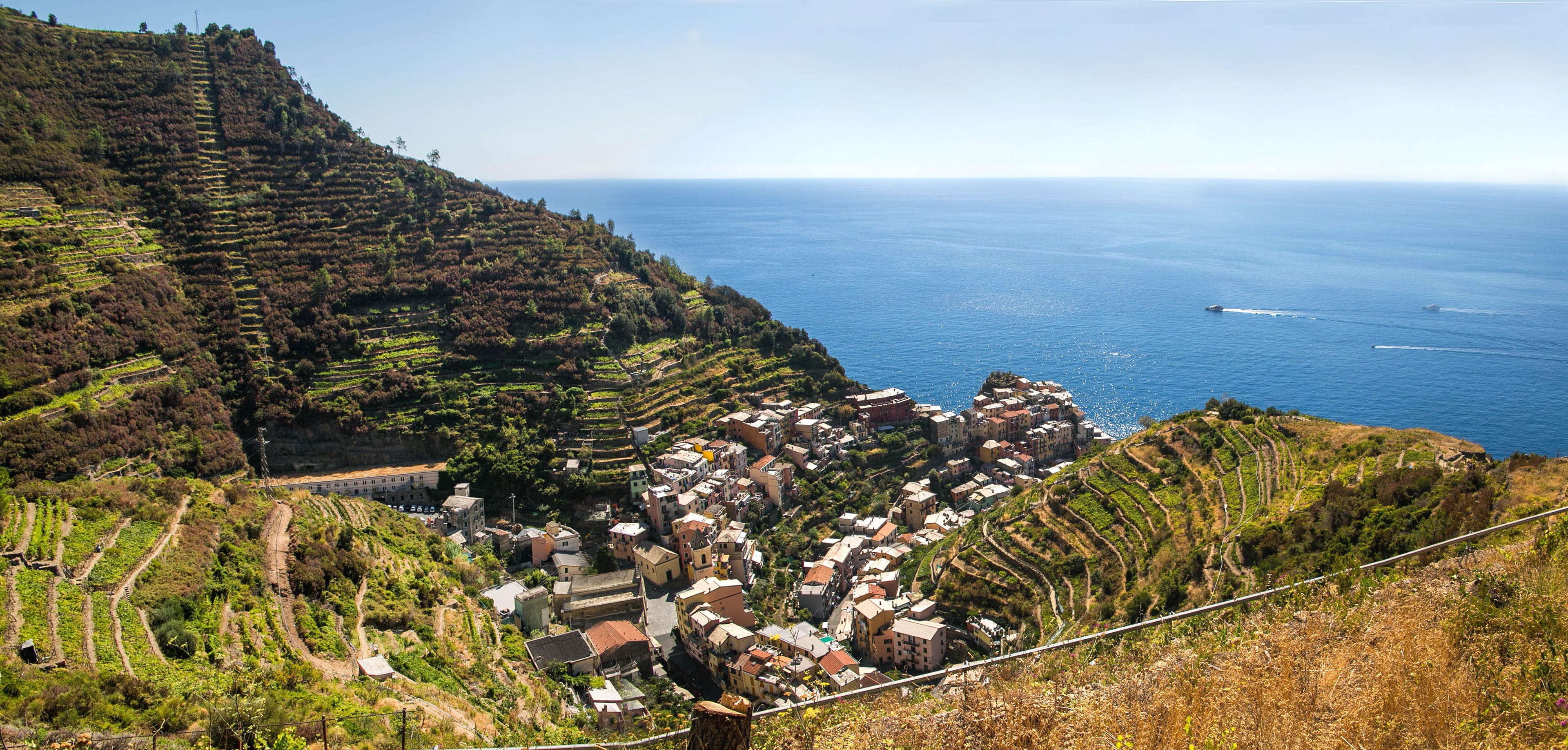 cinque terre, italie, manarola, randonnée, culture en terrasse, vigne, vignoble