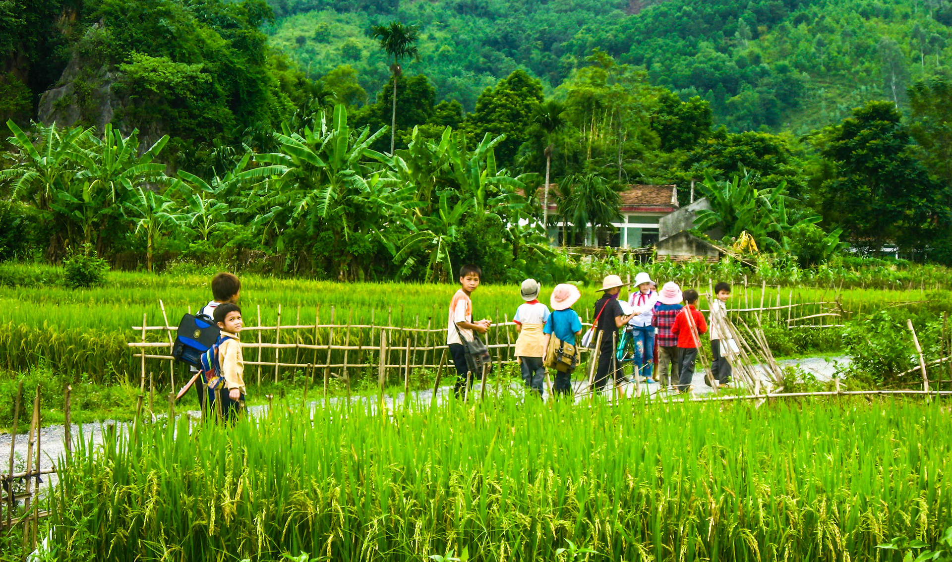 Vietnam du nord, randonnée, vallée de Luong Son, Hoa Binh., campagne, montagne Nang Hang, rivière Bui, rizières, lac, piton de calcaires, école, enfants