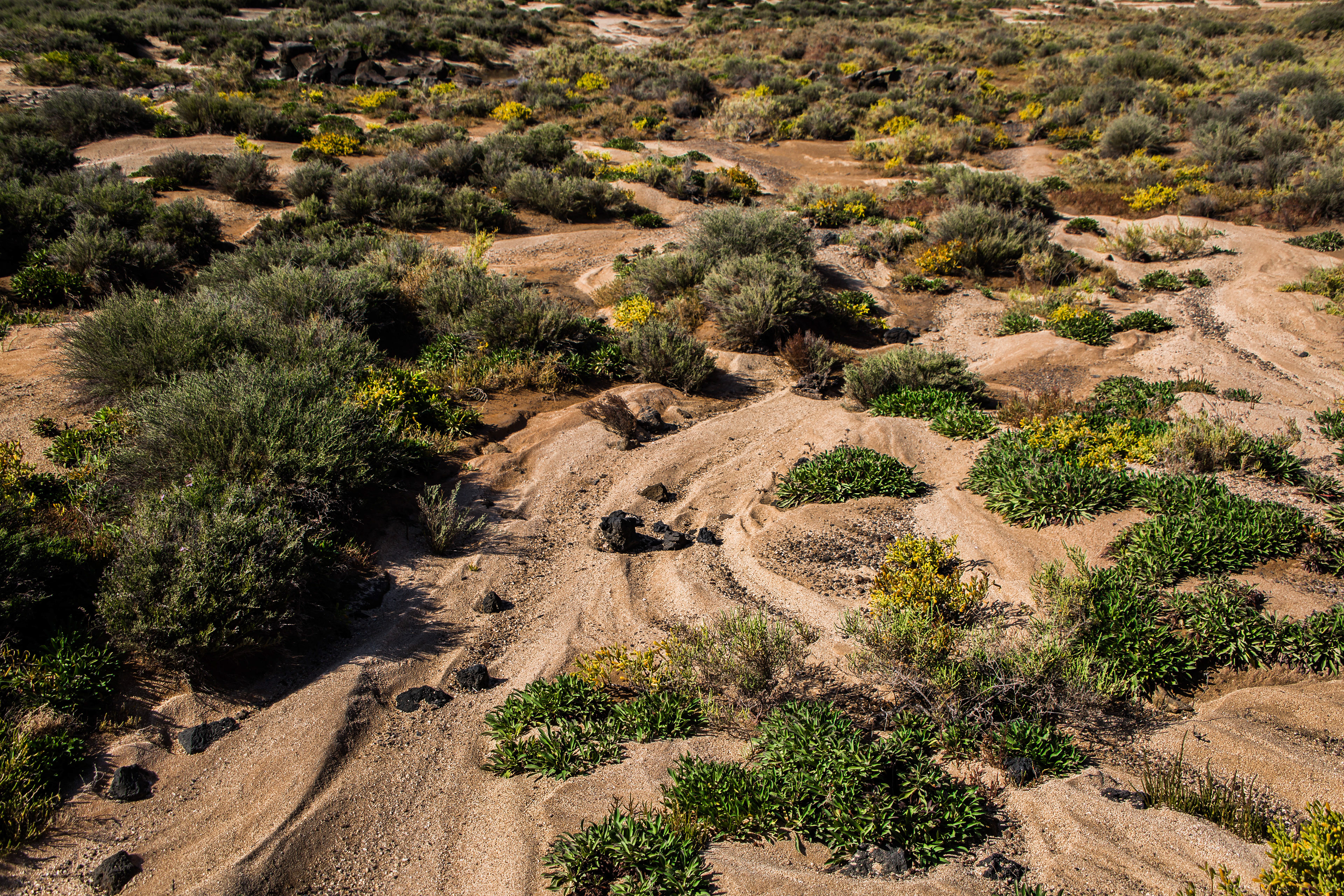 fuerteventura, île de lobos, biosphère, réserve naturelle, parc naturel, volcan, roche volcanique