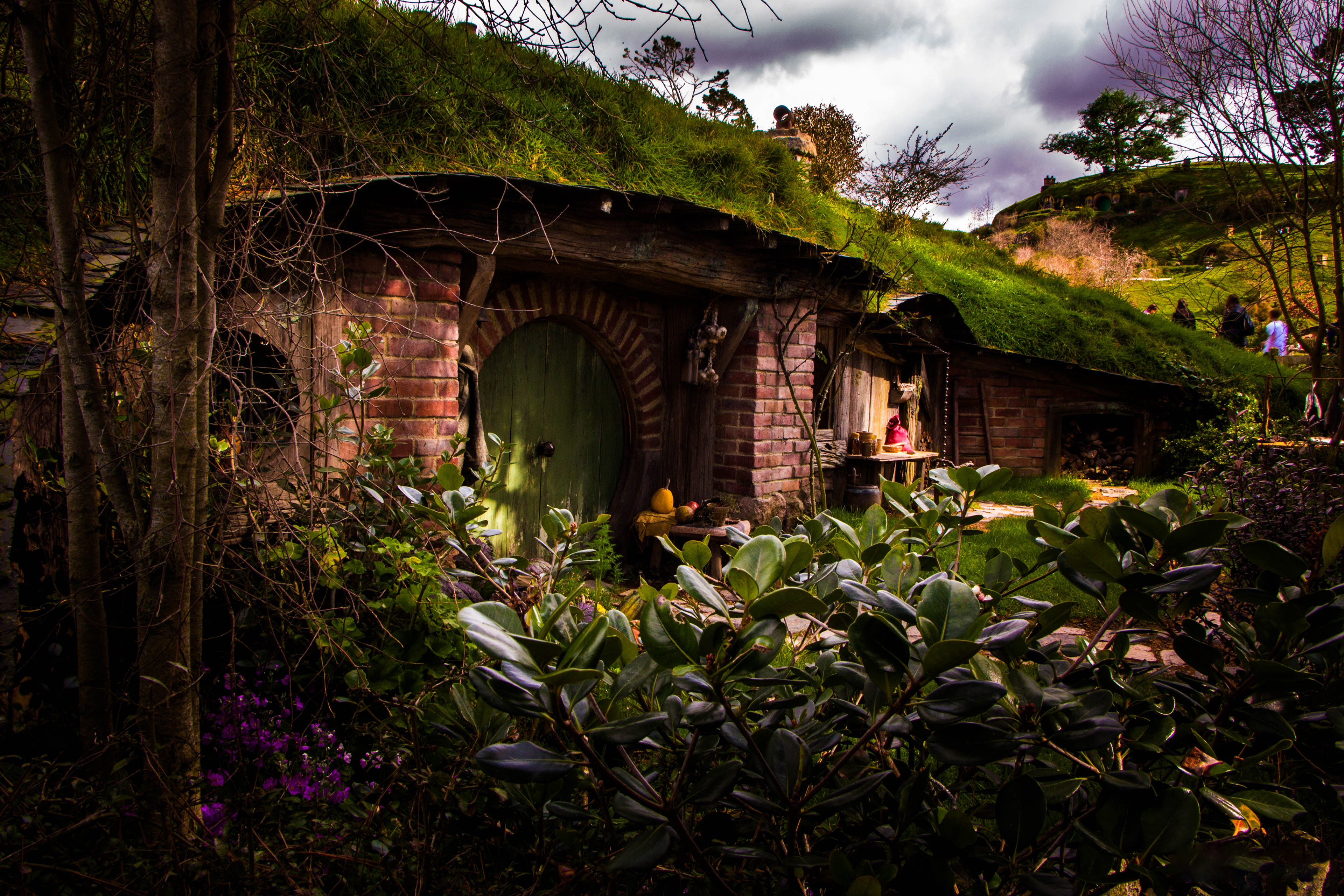 nouvelle-zelande, matamata, seigneur des anneaux, hobbit, lieu de tournage, comté