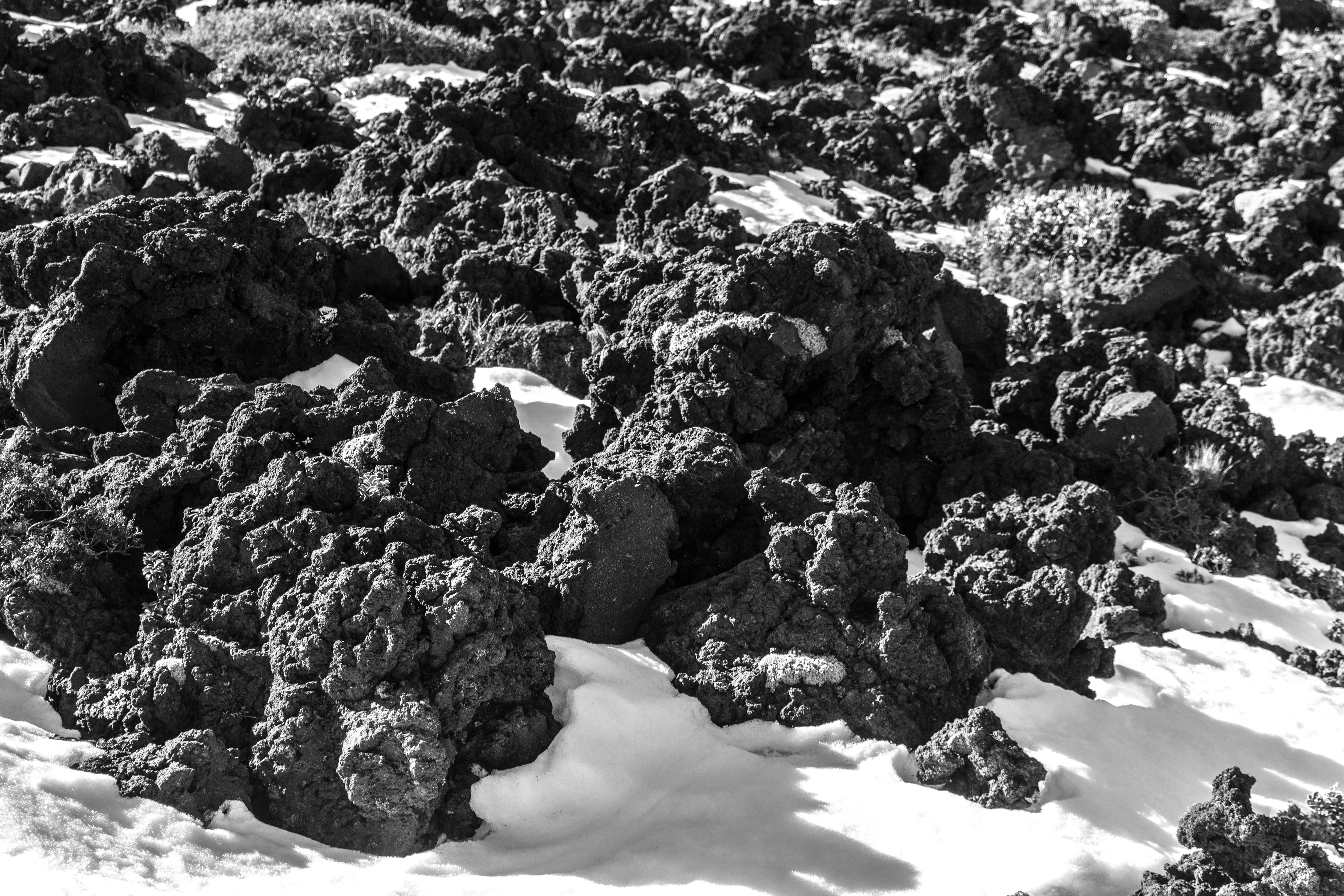 nouvelle zélande, alpine crossing Tongariro, site classé patrimoine de l’unesco, zone d’activité volcanique, volcan, montagne, glacier, Hawke's bay, parc national, neige,