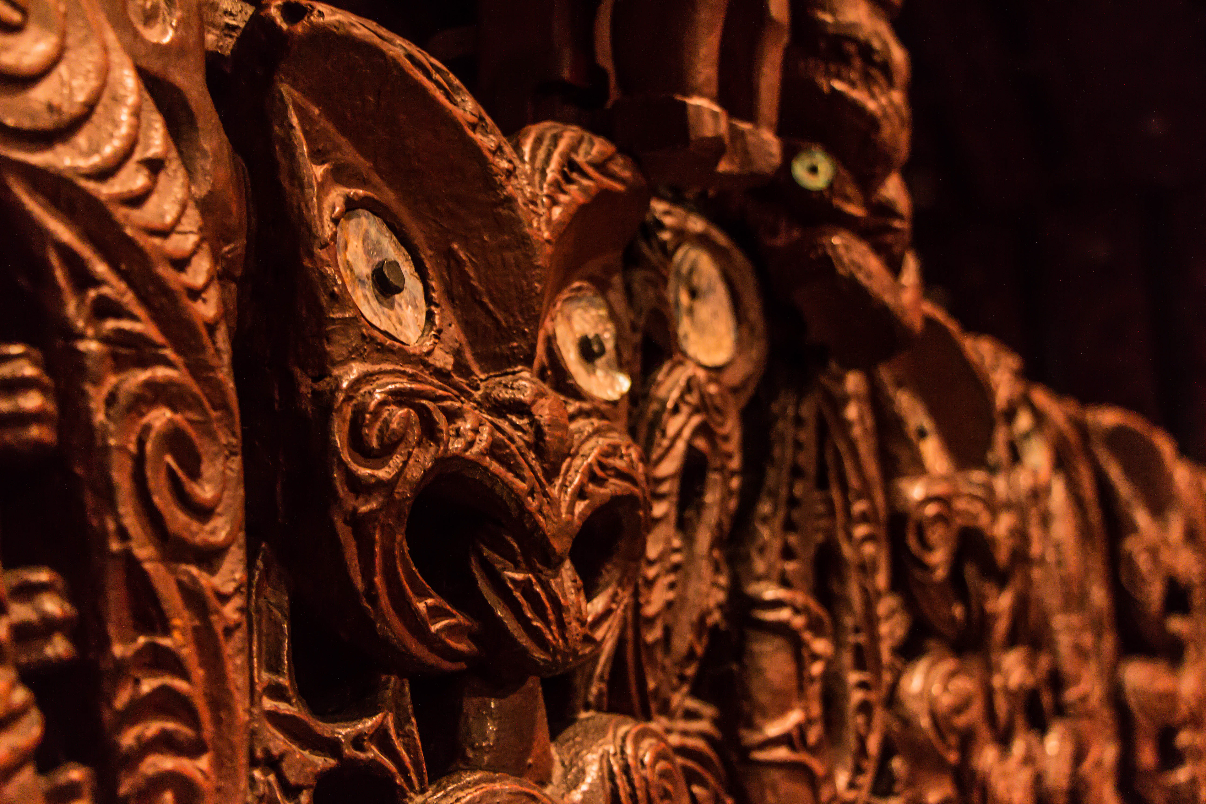 Te Papa museum, wellington, Nouvelle-Zélande