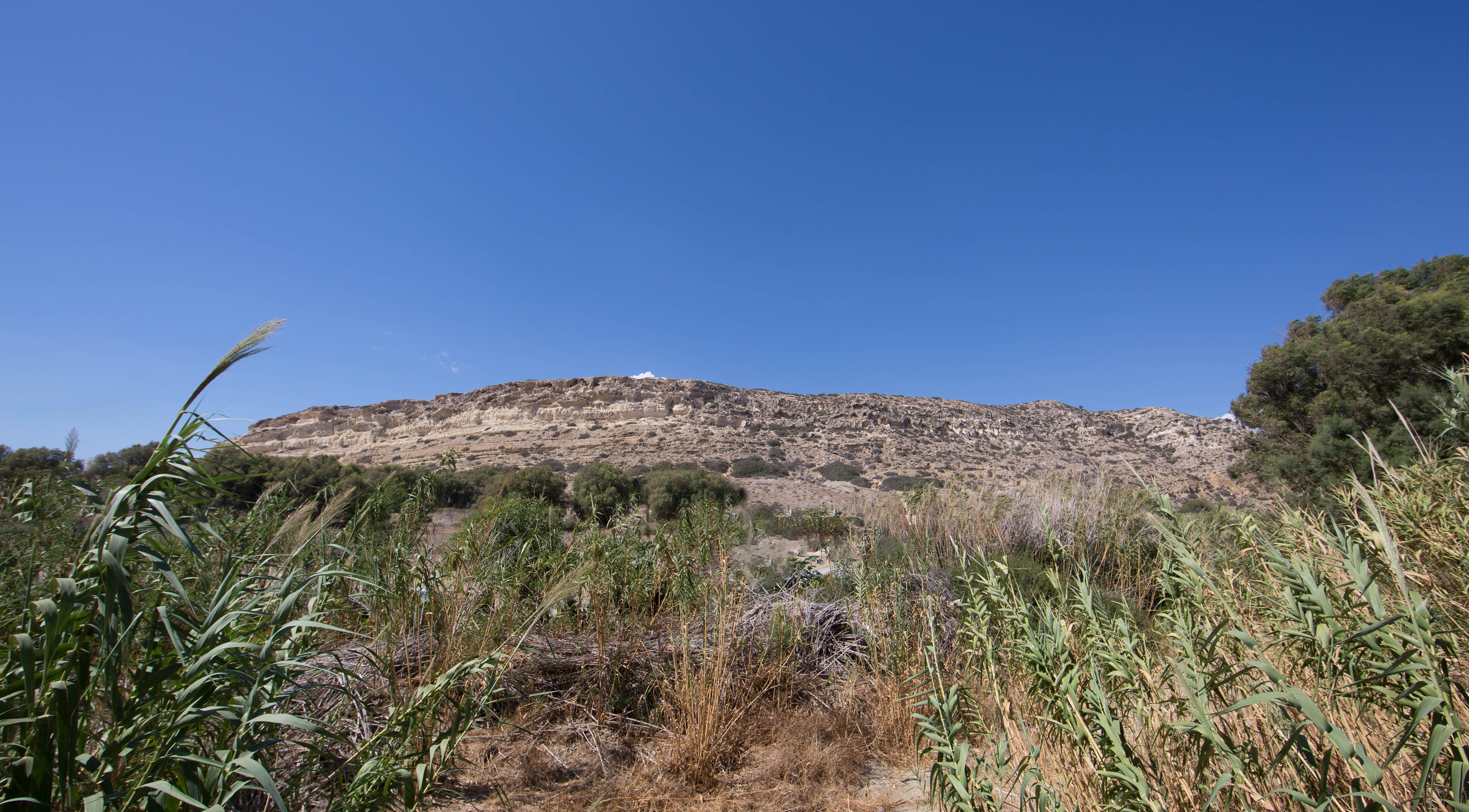 montagne de matala, végétation