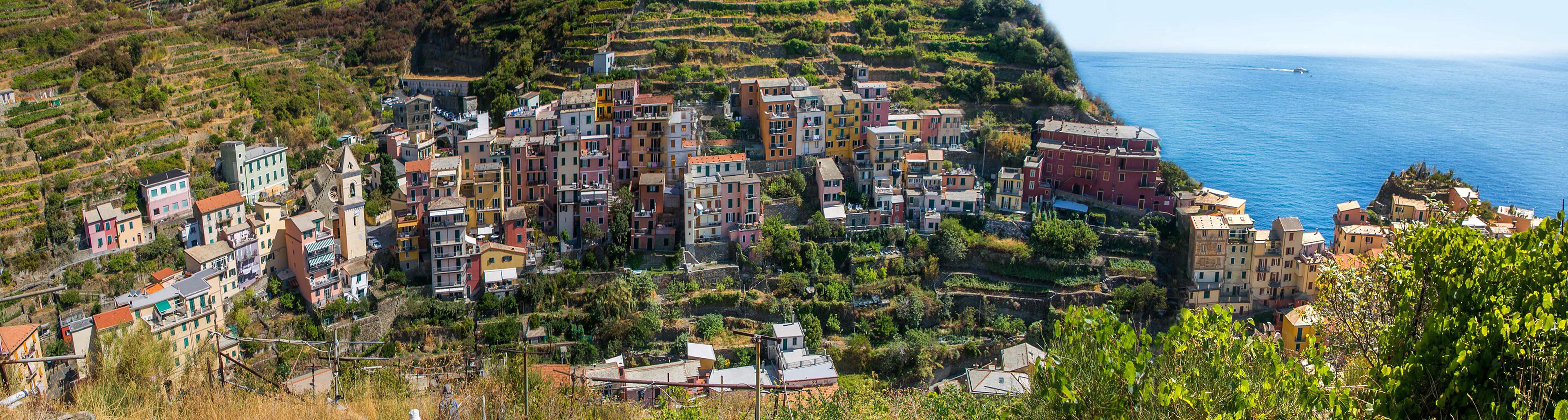 cinque terre, italie, manarola, randonnée, culture en terrasse, vigne, vignoble