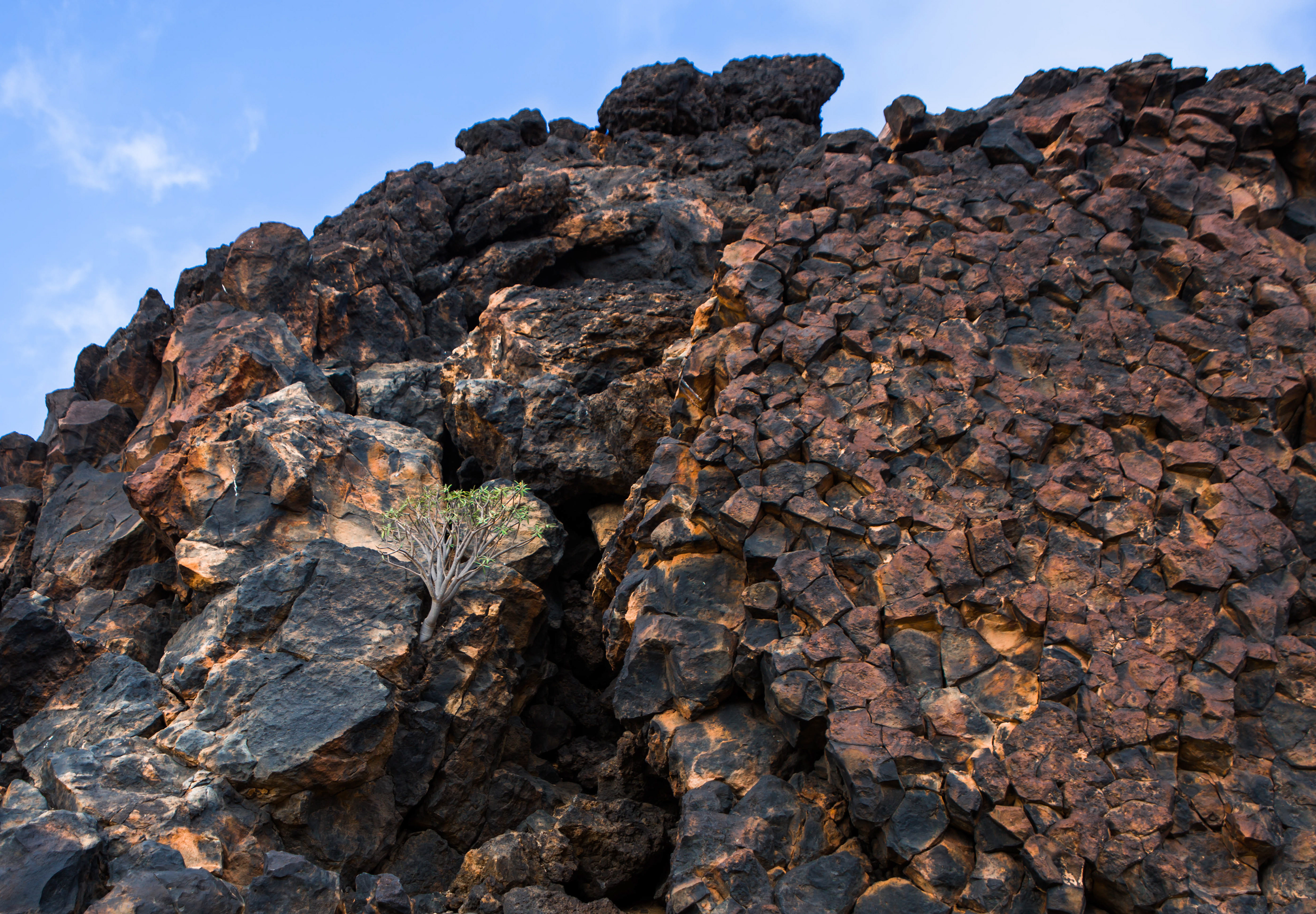 fuerteventura, île de lobos, biosphère, réserve naturelle, parc naturel, volcan, roche volcanique