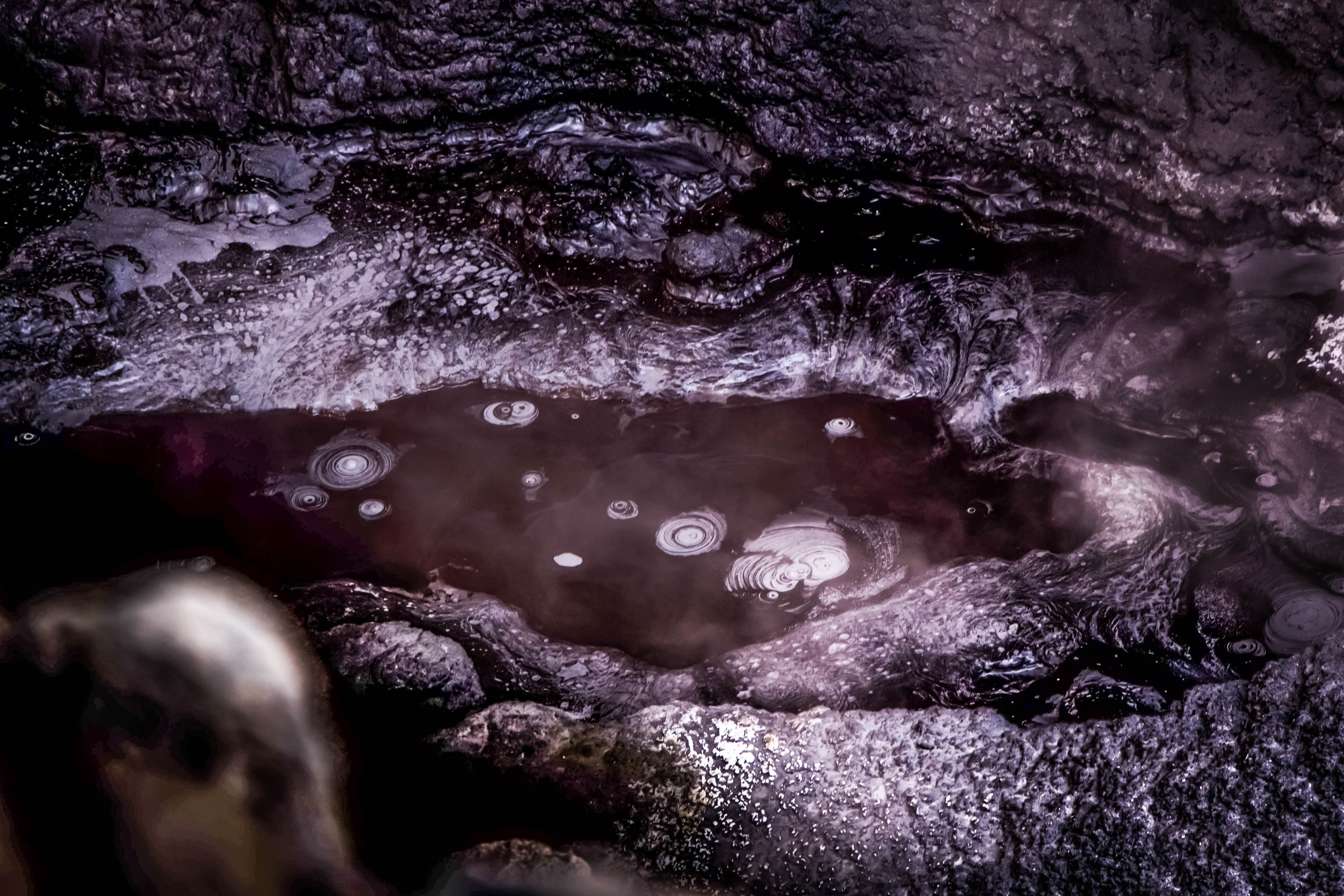 Wai O Tapu Wonderland - Nouvelle Zélande, parc de geyser, géothermie, lac de cratère violet