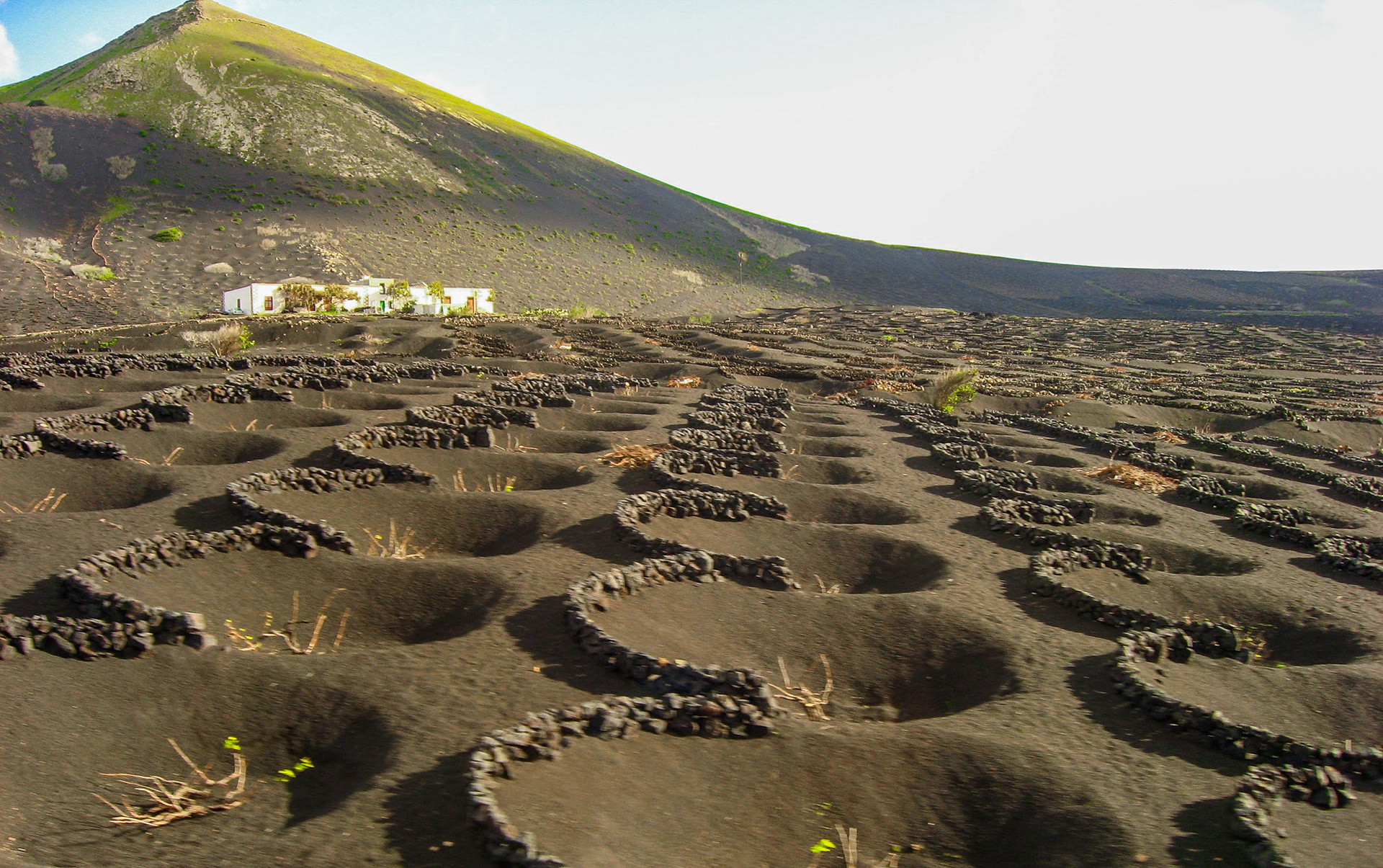 vignoble de La Geria, lanzarote, îles canaries
