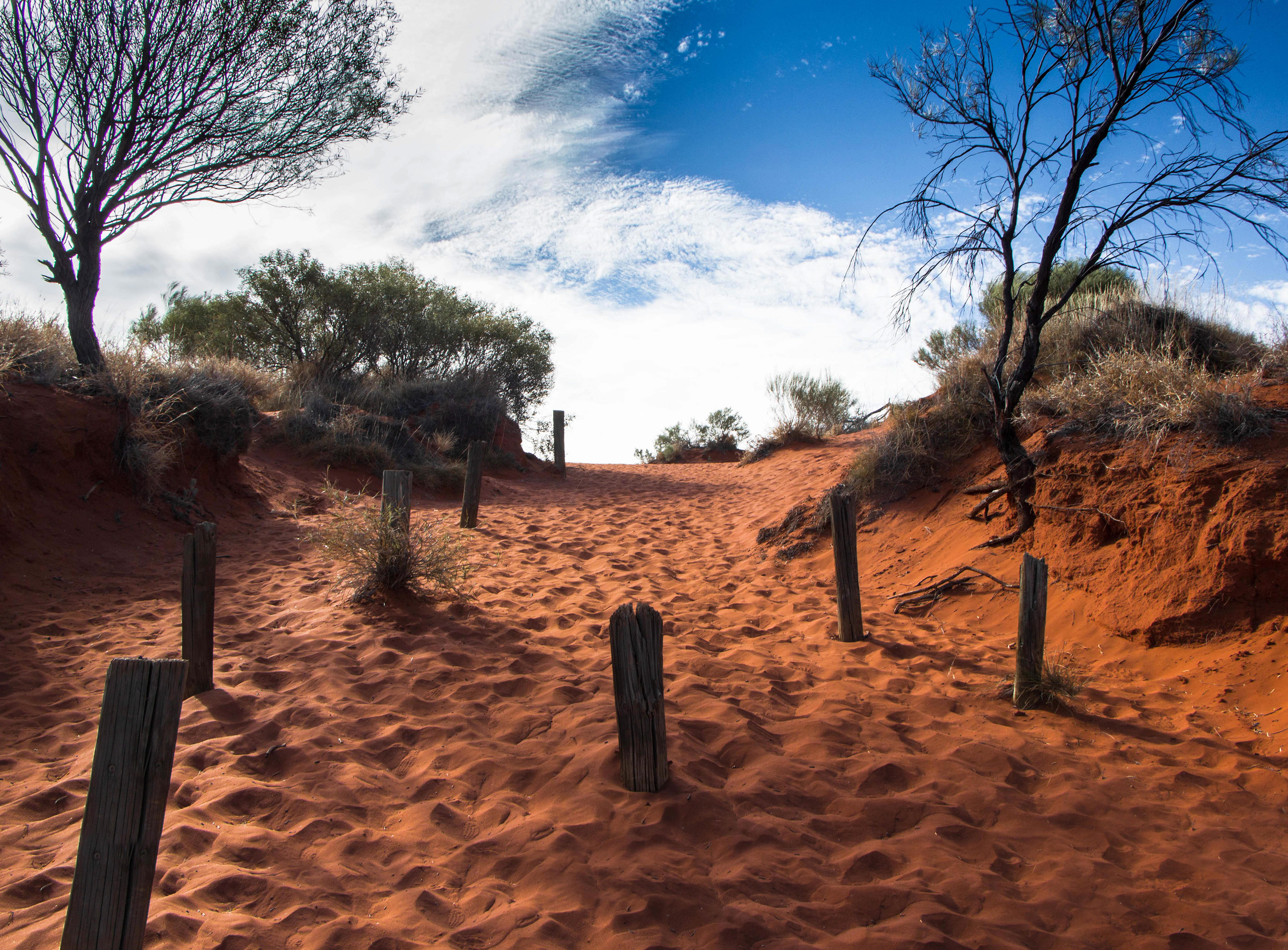 bush australienne, sable, terre rouge, centre rouge, outback, australie